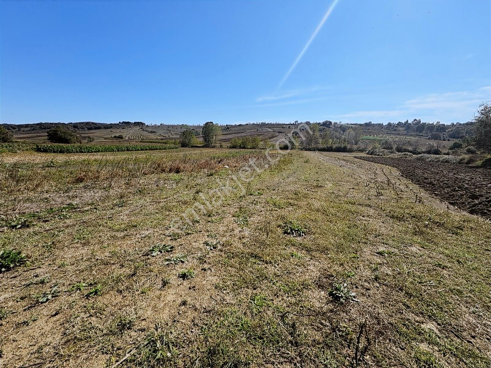 Balcı Köyünde Kadastrol Yola Cepheli Yatırımlık Satılık Tarla - Görsel 23