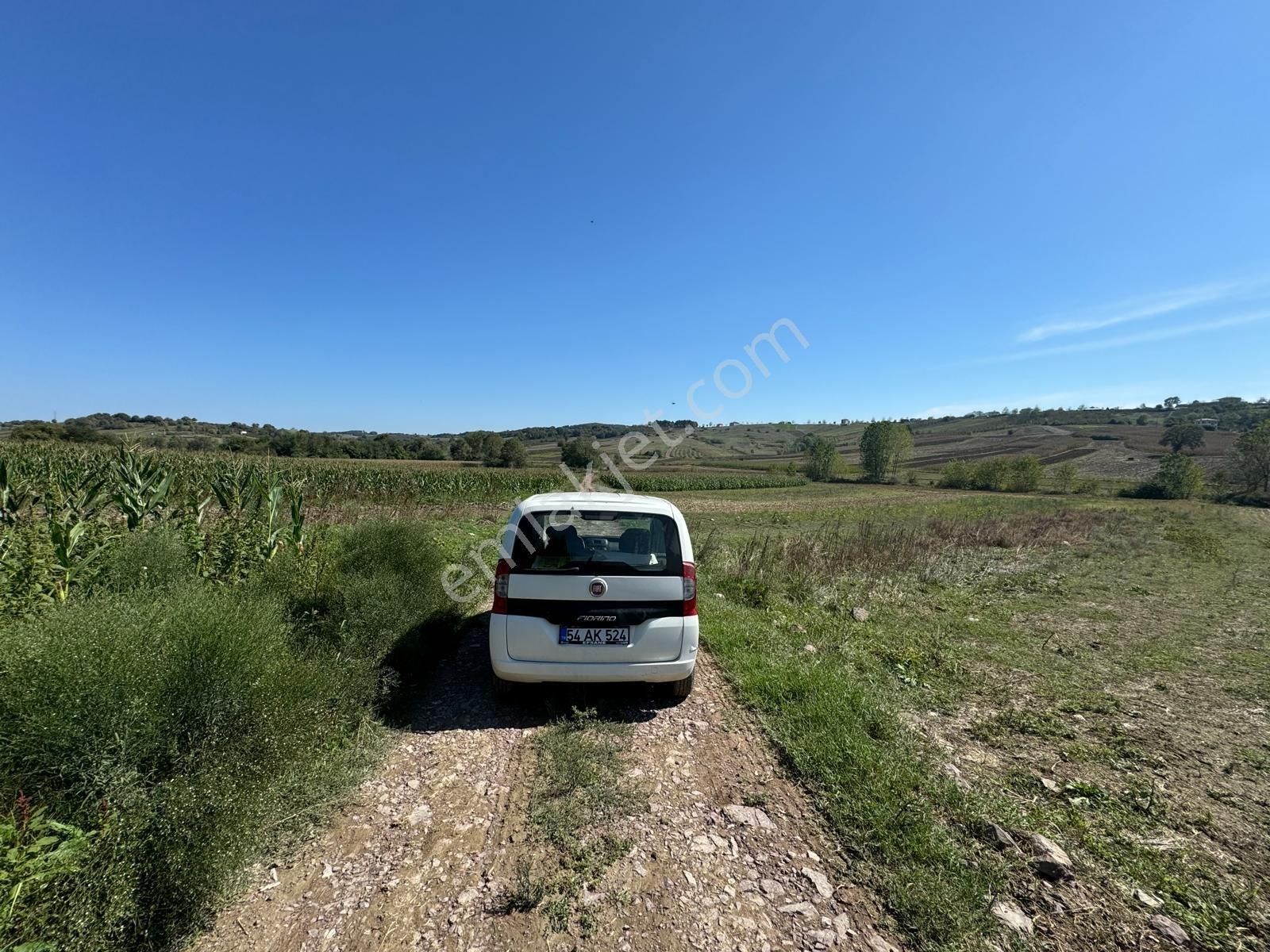 Balcı Köyünde Kadastrol Yola Cepheli Yatırımlık Satılık Tarla - Görsel 10