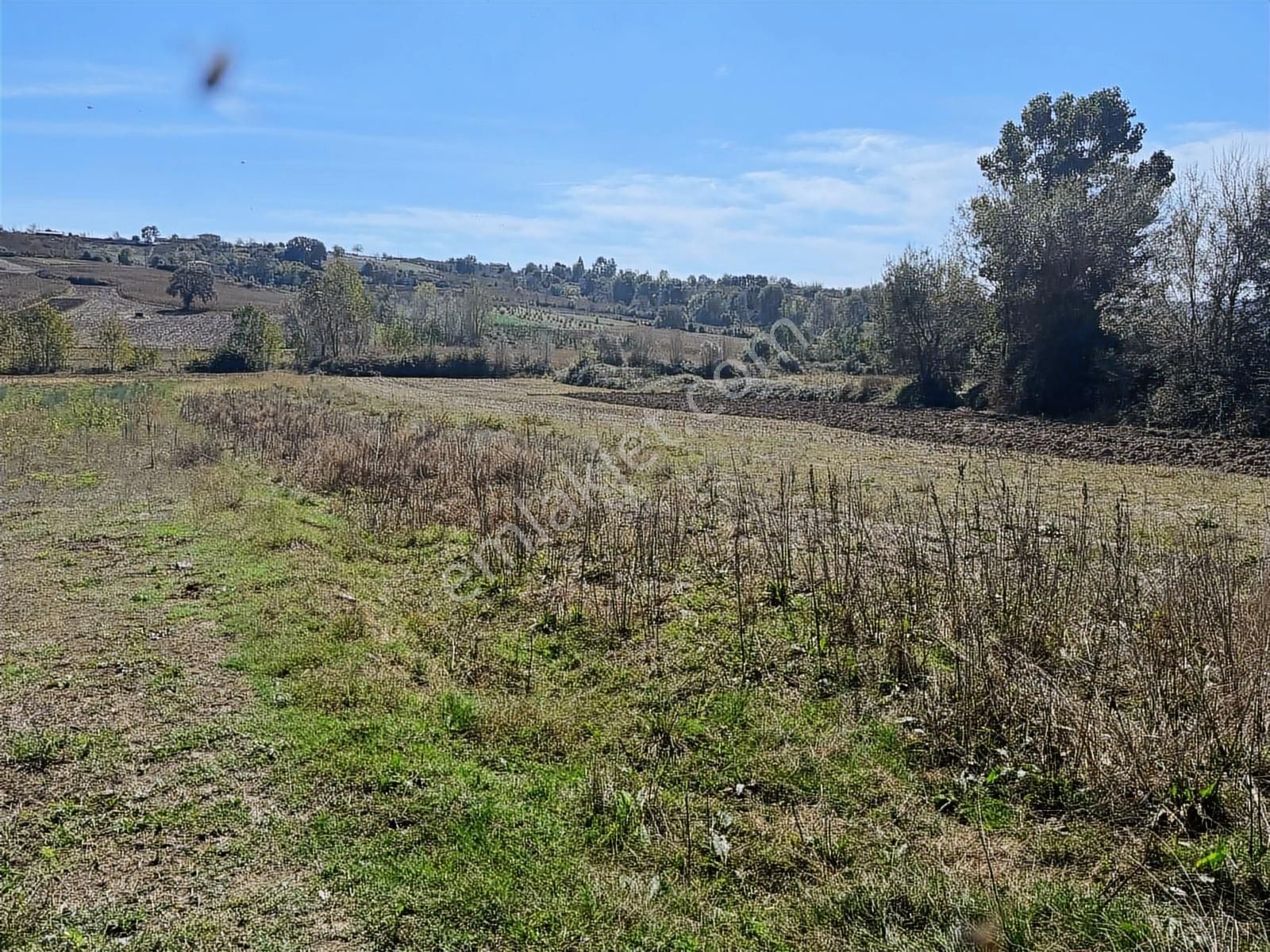 Balcı Köyünde Kadastrol Yola Cepheli Yatırımlık Satılık Tarla - Görsel 20