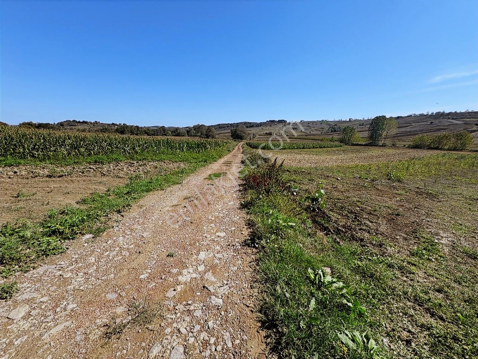 Balcı Köyünde Kadastrol Yola Cepheli Yatırımlık Satılık Tarla