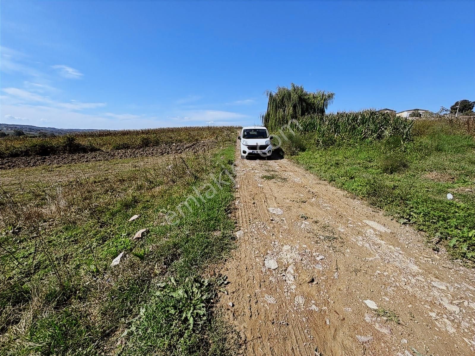 Balcı Köyünde Kadastrol Yola Cepheli Yatırımlık Satılık Tarla - Görsel 9
