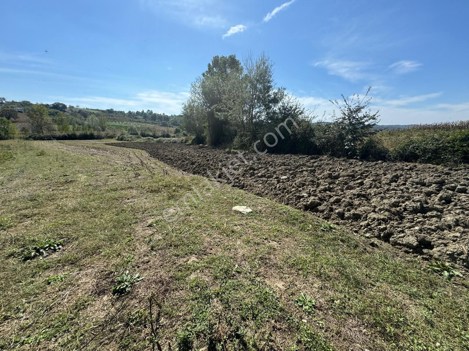 Balcı Köyünde Kadastrol Yola Cepheli Yatırımlık Satılık Tarla - Görsel 12