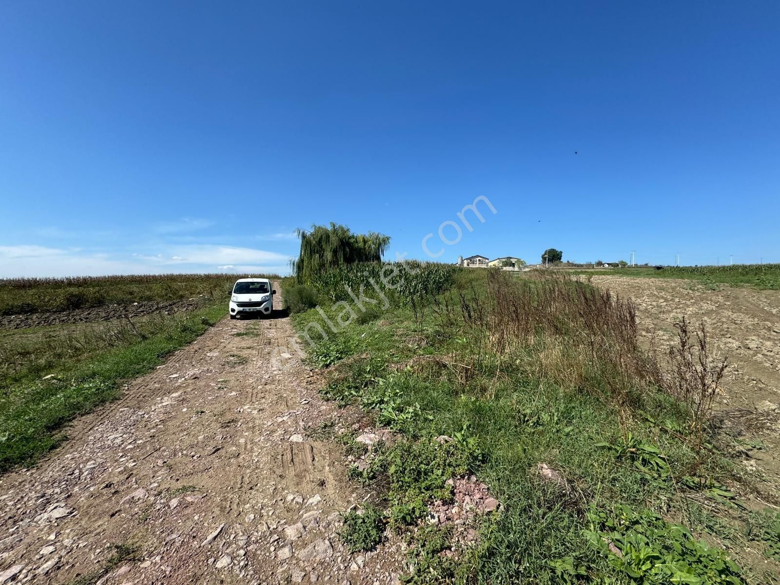 Balcı Köyünde Kadastrol Yola Cepheli Yatırımlık Satılık Tarla - Görsel 24