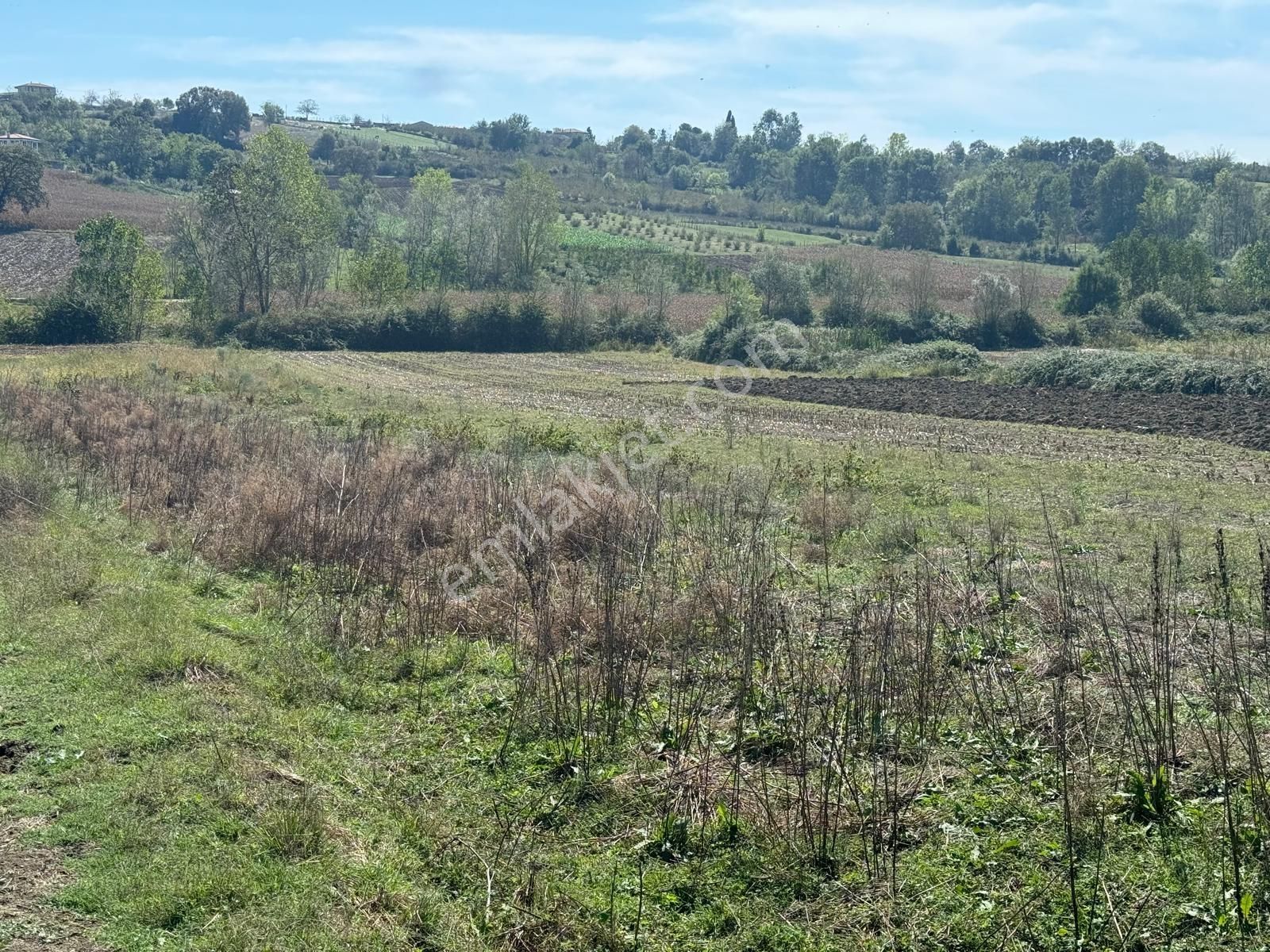 Balcı Köyünde Kadastrol Yola Cepheli Yatırımlık Satılık Tarla - Görsel 2