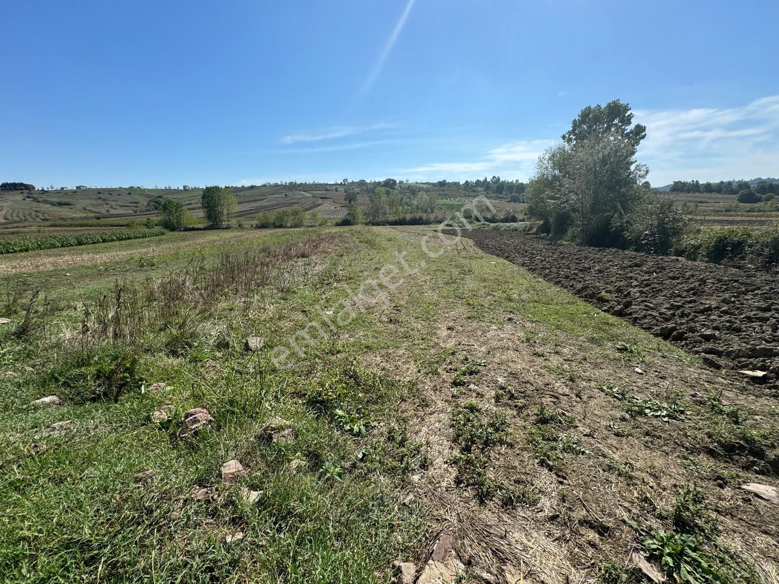 Balcı Köyünde Kadastrol Yola Cepheli Yatırımlık Satılık Tarla - Görsel 15