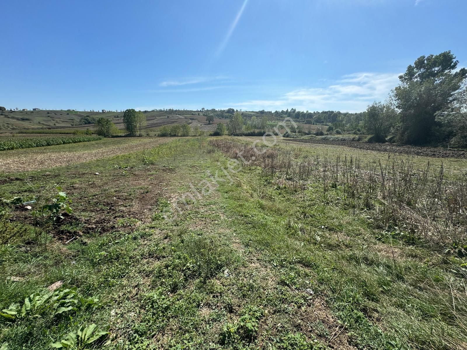 Balcı Köyünde Kadastrol Yola Cepheli Yatırımlık Satılık Tarla - Görsel 7