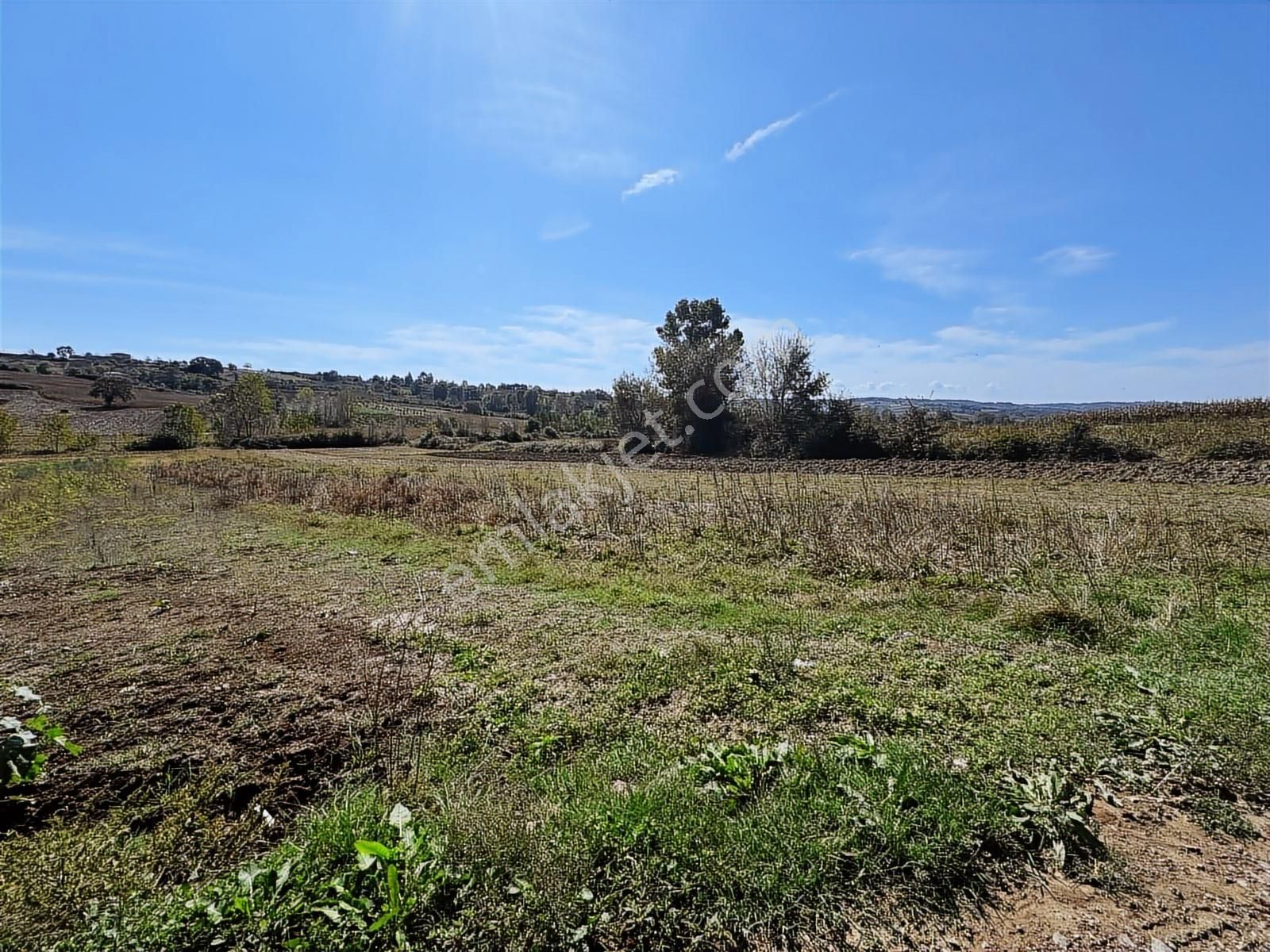 Balcı Köyünde Kadastrol Yola Cepheli Yatırımlık Satılık Tarla - Görsel 14