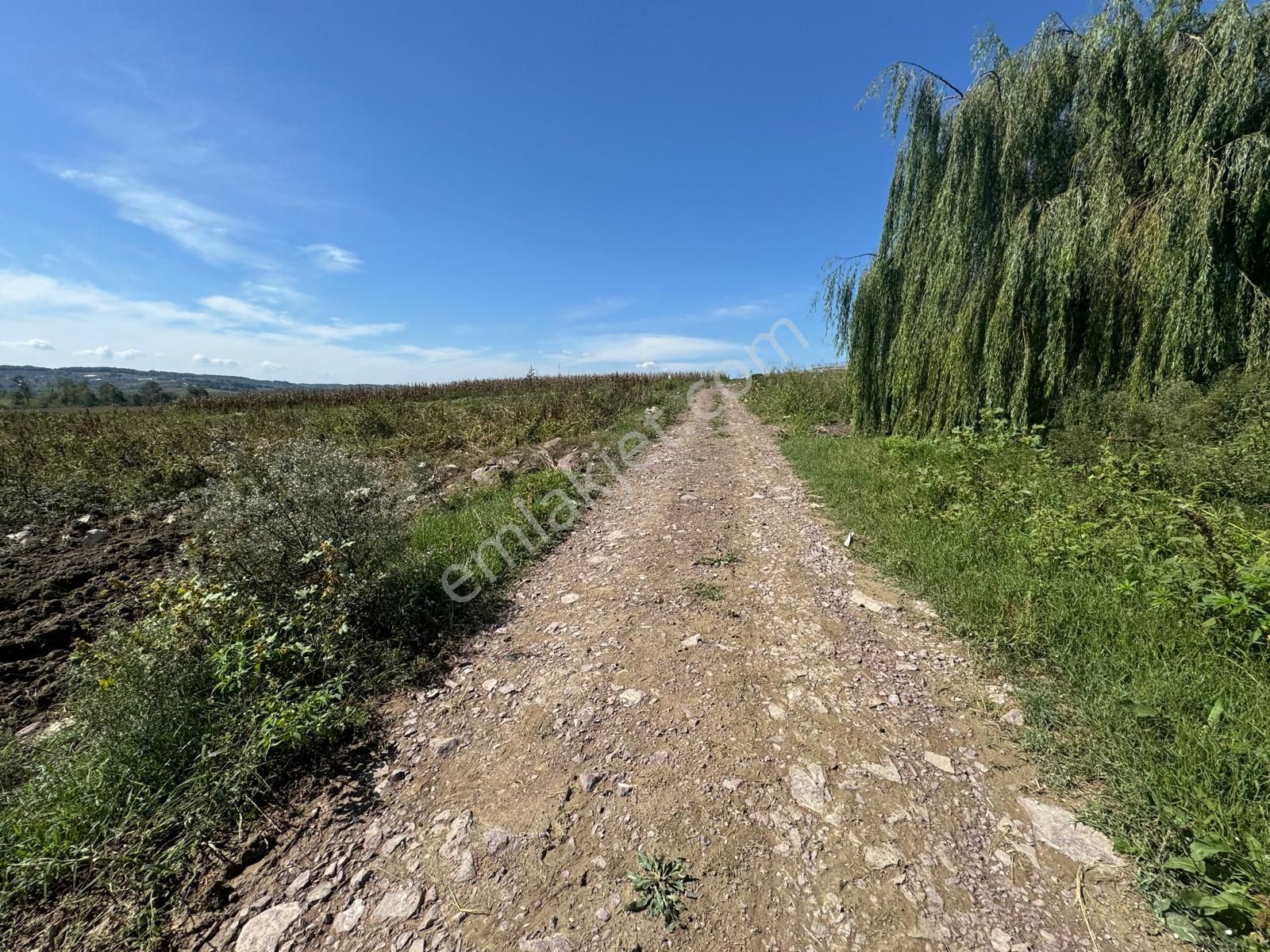 Balcı Köyünde Kadastrol Yola Cepheli Yatırımlık Satılık Tarla - Görsel 25
