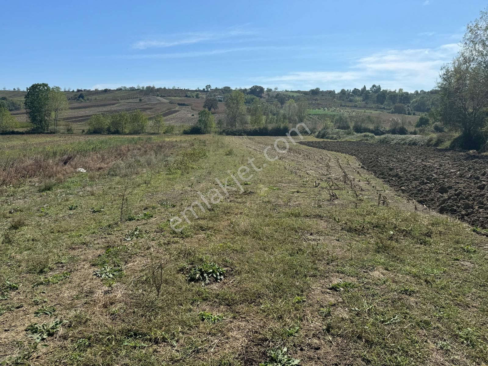 Balcı Köyünde Kadastrol Yola Cepheli Yatırımlık Satılık Tarla - Görsel 6