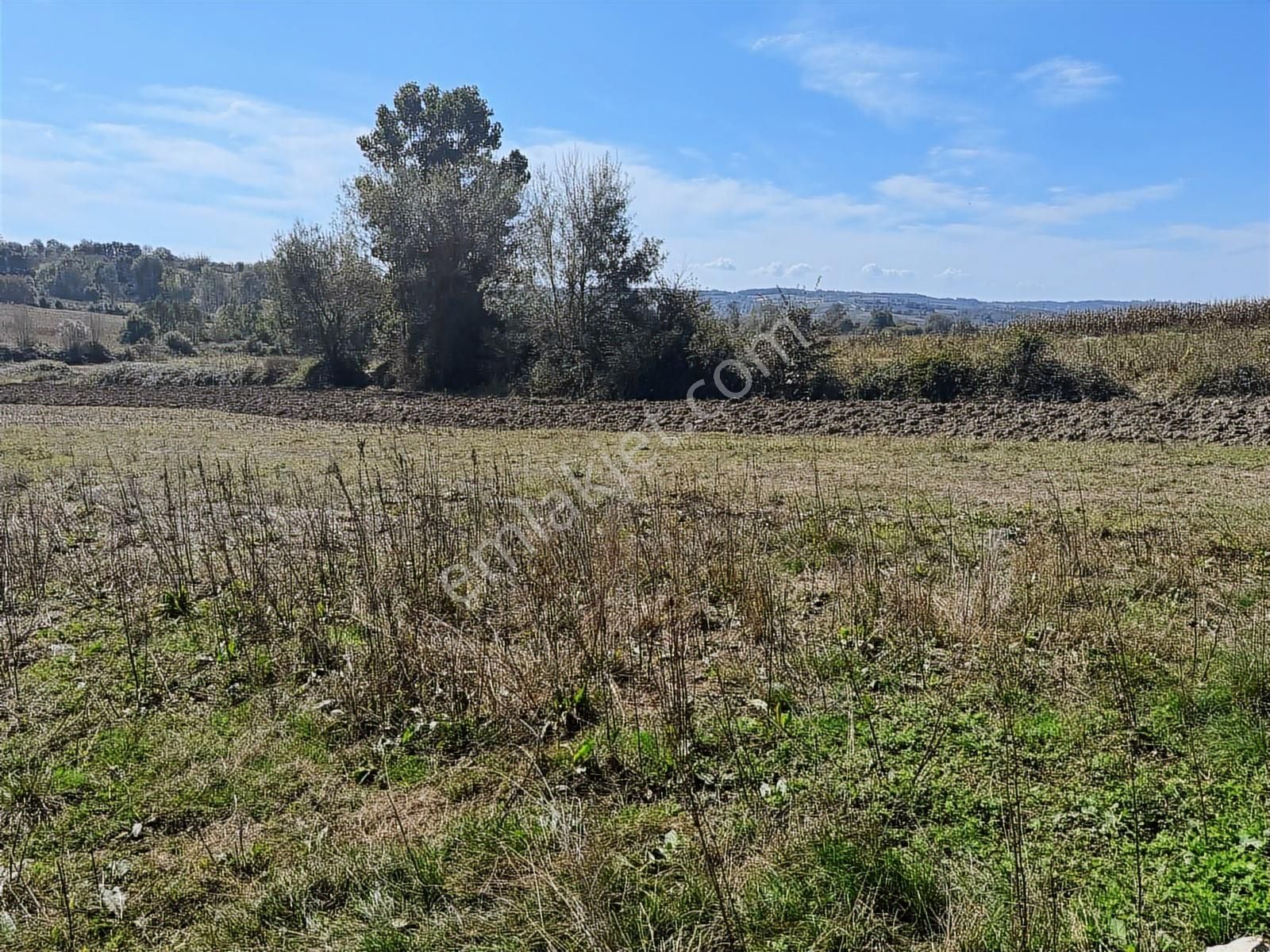 Balcı Köyünde Kadastrol Yola Cepheli Yatırımlık Satılık Tarla - Görsel 17