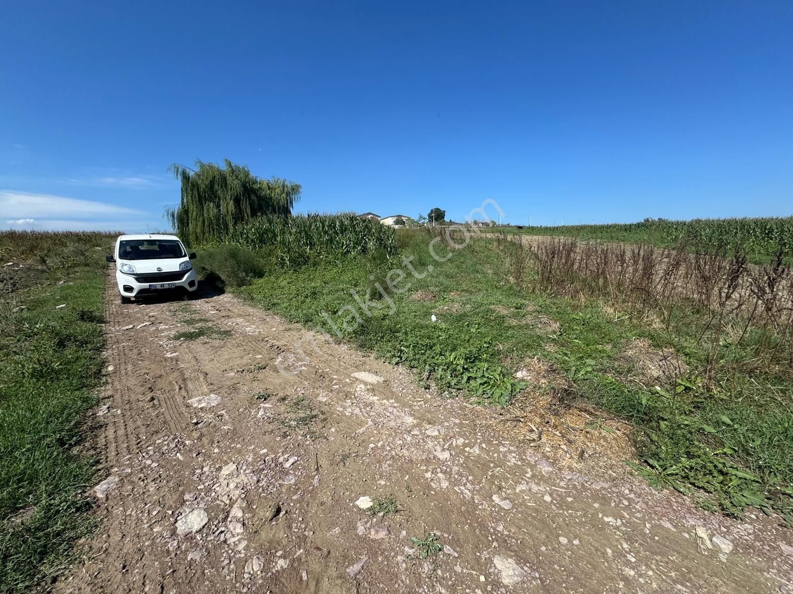 Balcı Köyünde Kadastrol Yola Cepheli Yatırımlık Satılık Tarla - Görsel 8