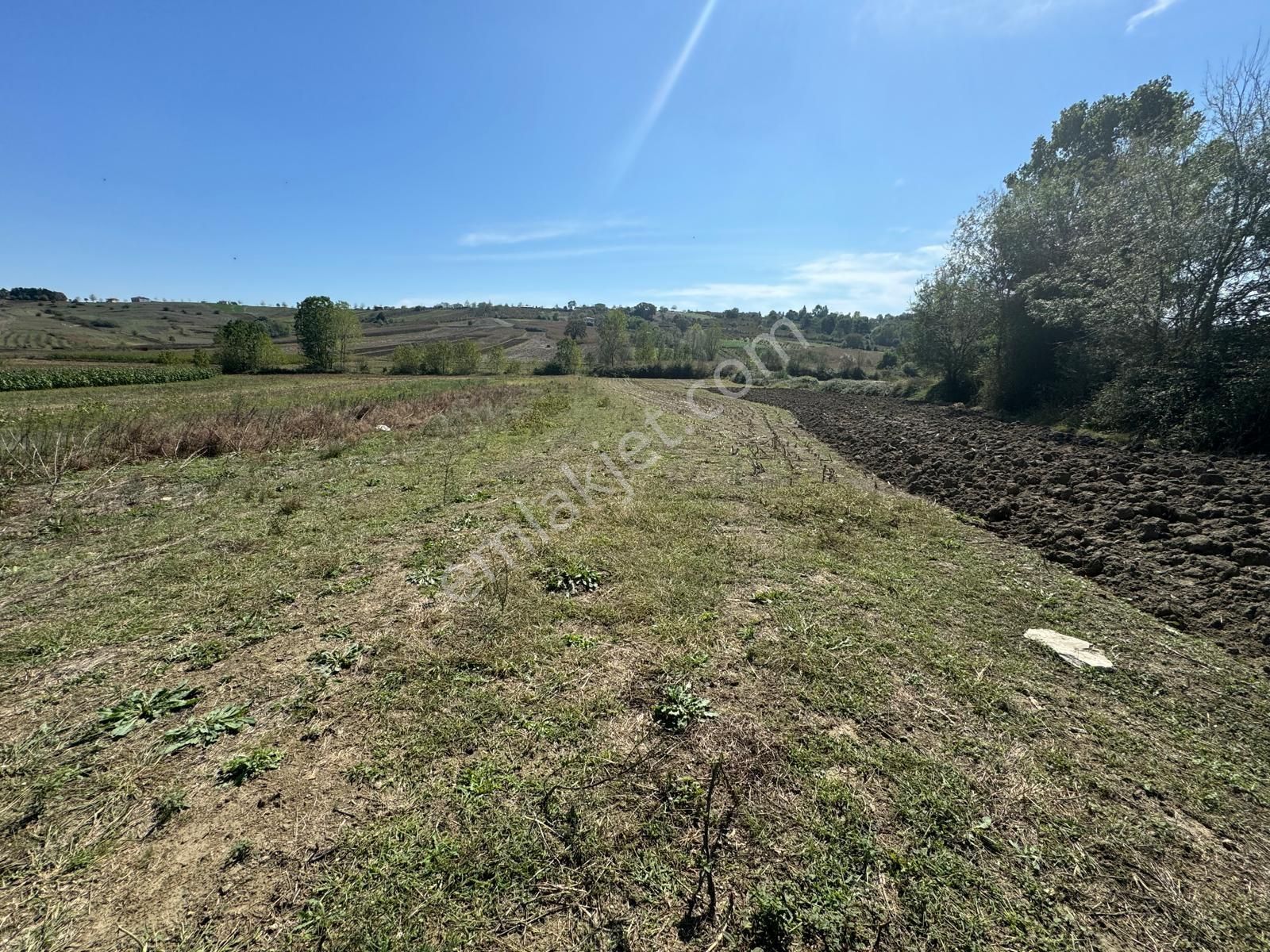 Balcı Köyünde Kadastrol Yola Cepheli Yatırımlık Satılık Tarla - Görsel 21