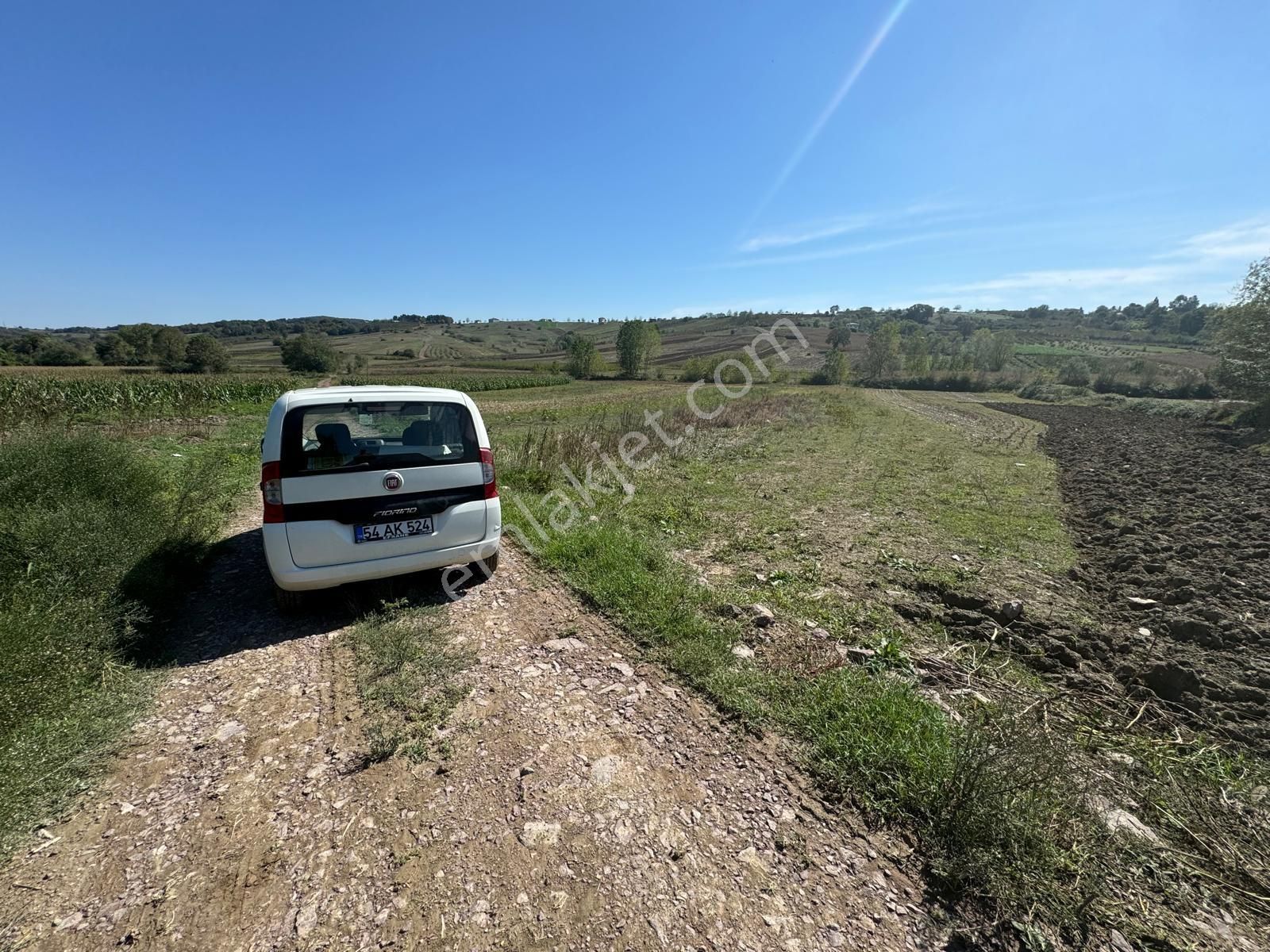 Balcı Köyünde Kadastrol Yola Cepheli Yatırımlık Satılık Tarla - Görsel 3