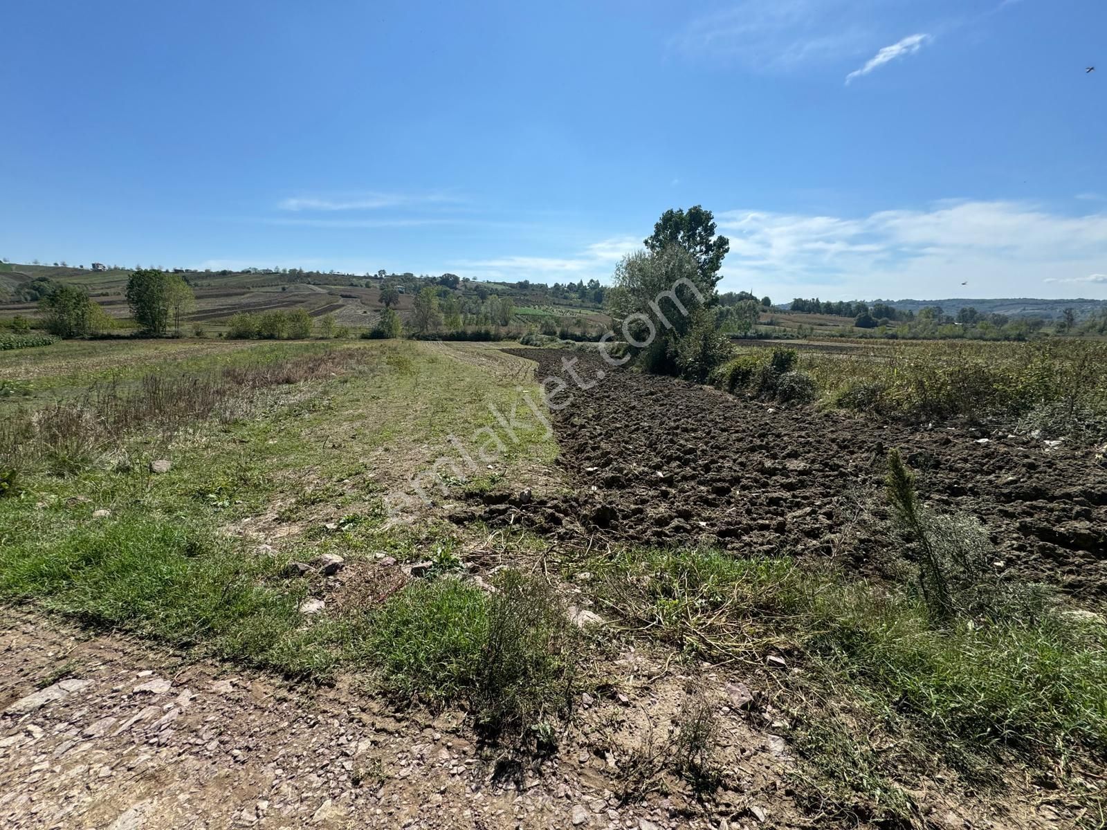 Balcı Köyünde Kadastrol Yola Cepheli Yatırımlık Satılık Tarla - Görsel 13