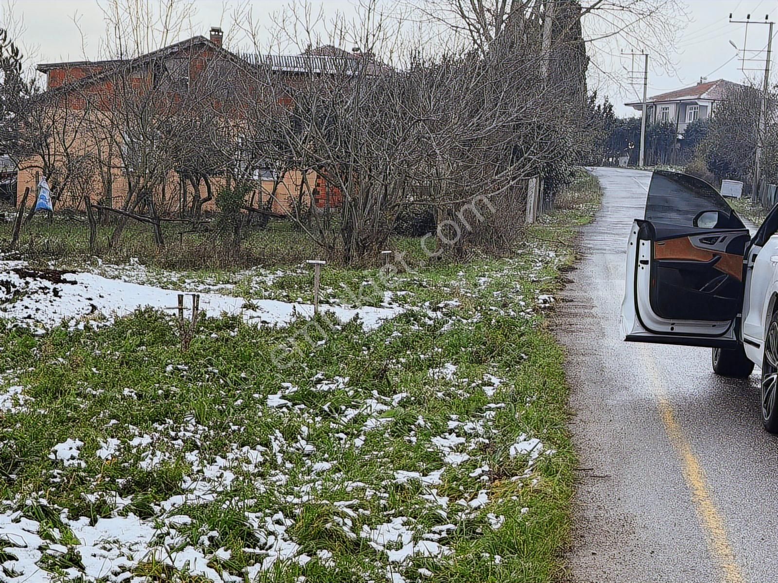 Köy İçi Asfalt Cepheli Konut İmarlı 1.052 M2 Satılık Arsa - Görsel 5