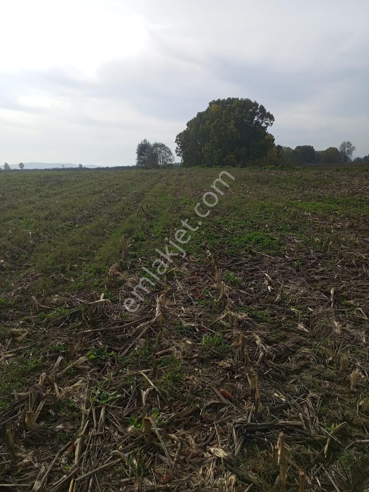 Sakarya/ferizli'de 5440m² Dere Kenarı Verimli Yatırımlık Kaçmaz! - Görsel 10