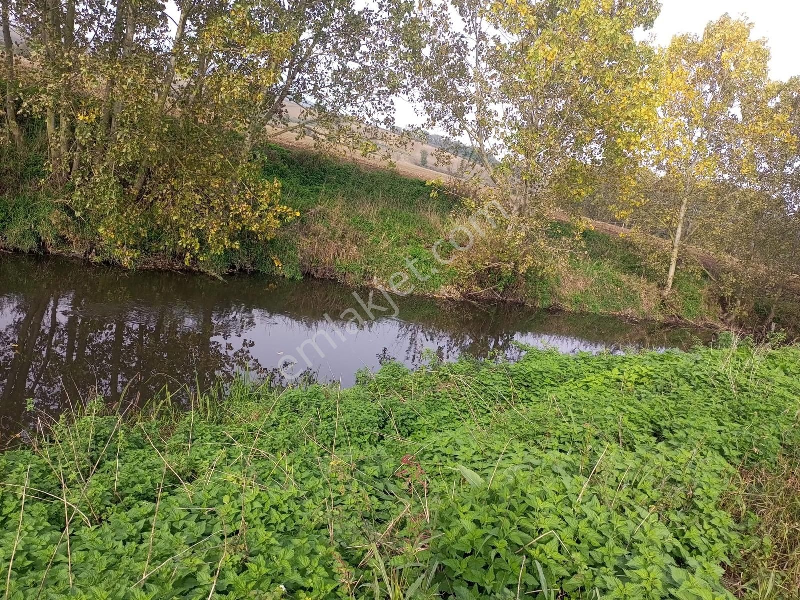 Sakarya/ferizli'de 5440m² Dere Kenarı Verimli Yatırımlık Kaçmaz! - Görsel 9