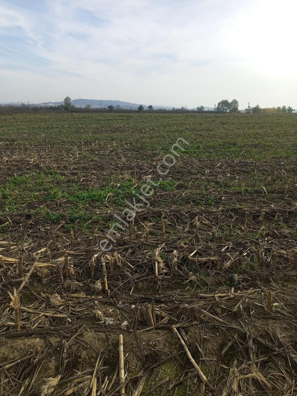 Sakarya/ferizli'de 5440m² Dere Kenarı Verimli Yatırımlık Kaçmaz! - Görsel 13