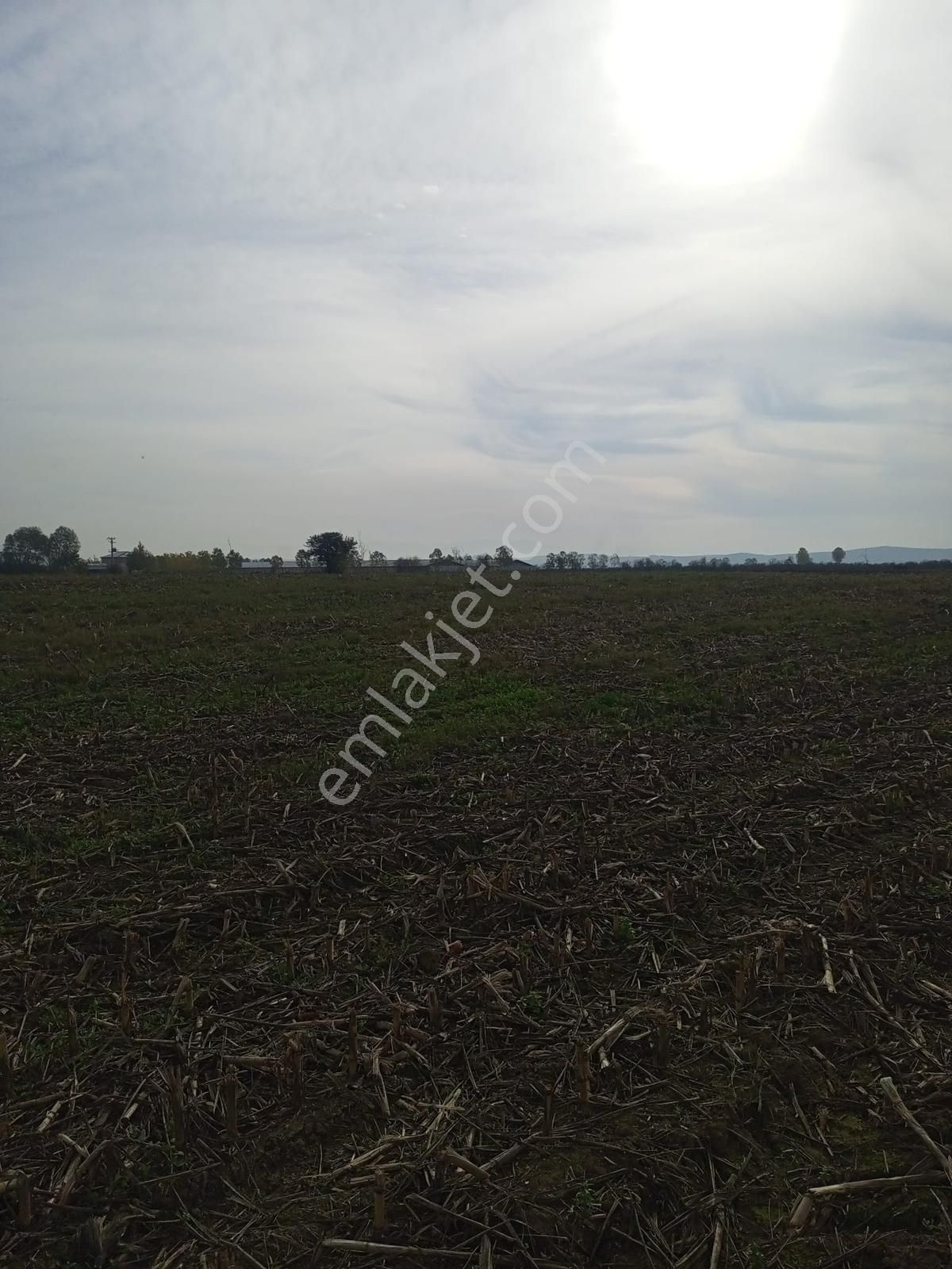 Sakarya/ferizli'de 5440m² Dere Kenarı Verimli Yatırımlık Kaçmaz! - Görsel 15