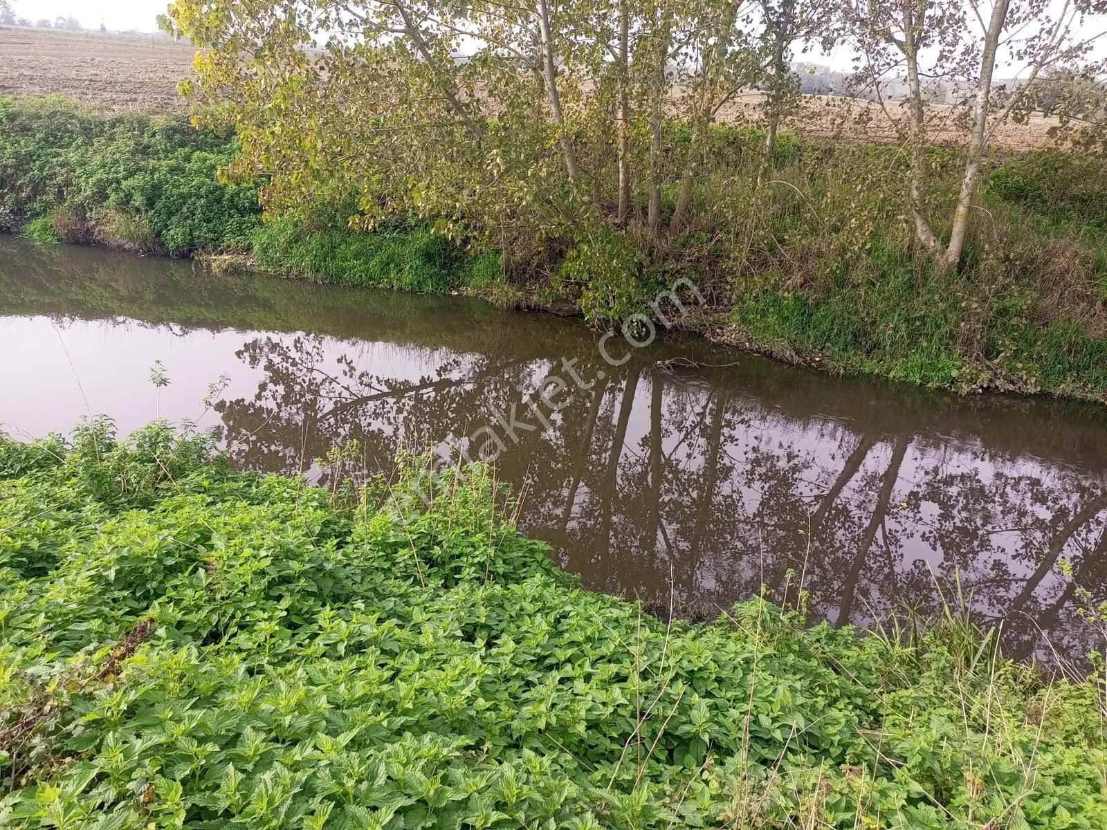 Sakarya/ferizli'de 5440m² Dere Kenarı Verimli Yatırımlık Kaçmaz! - Görsel 4