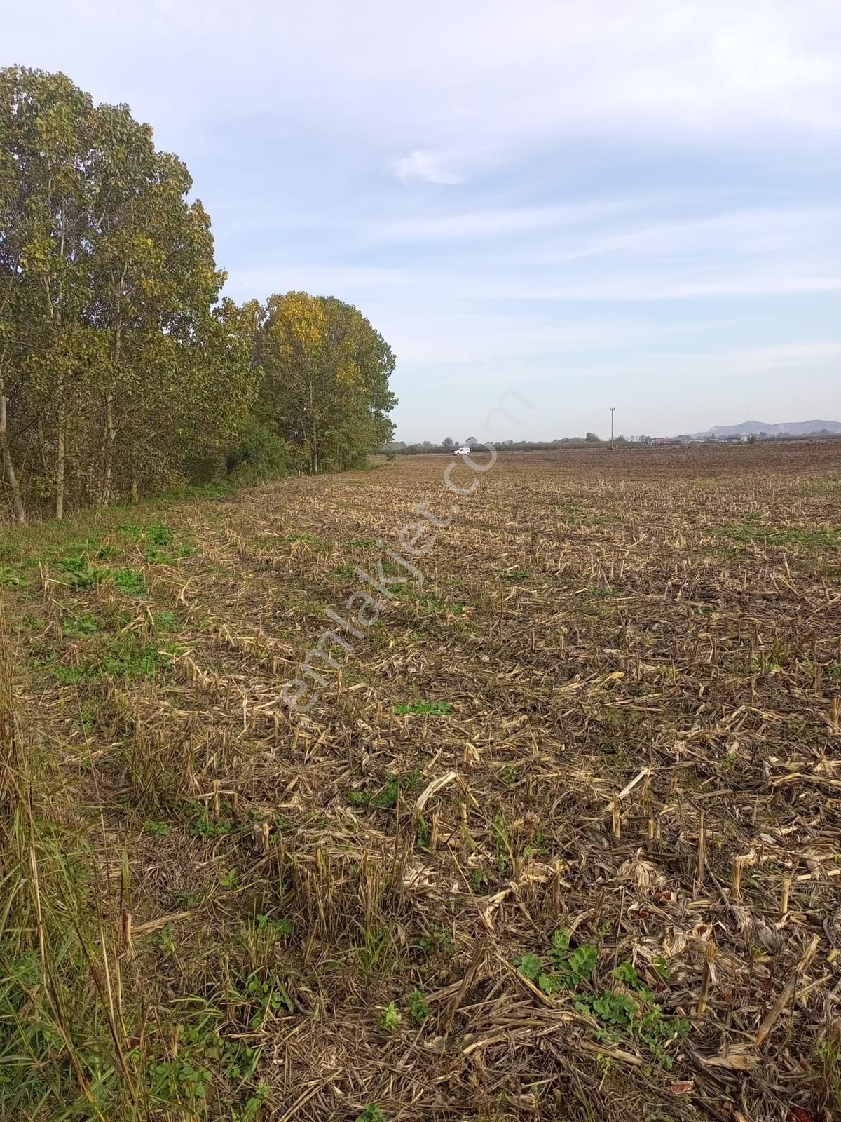 Sakarya/ferizli'de 5440m² Dere Kenarı Verimli Yatırımlık Kaçmaz! - Görsel 5