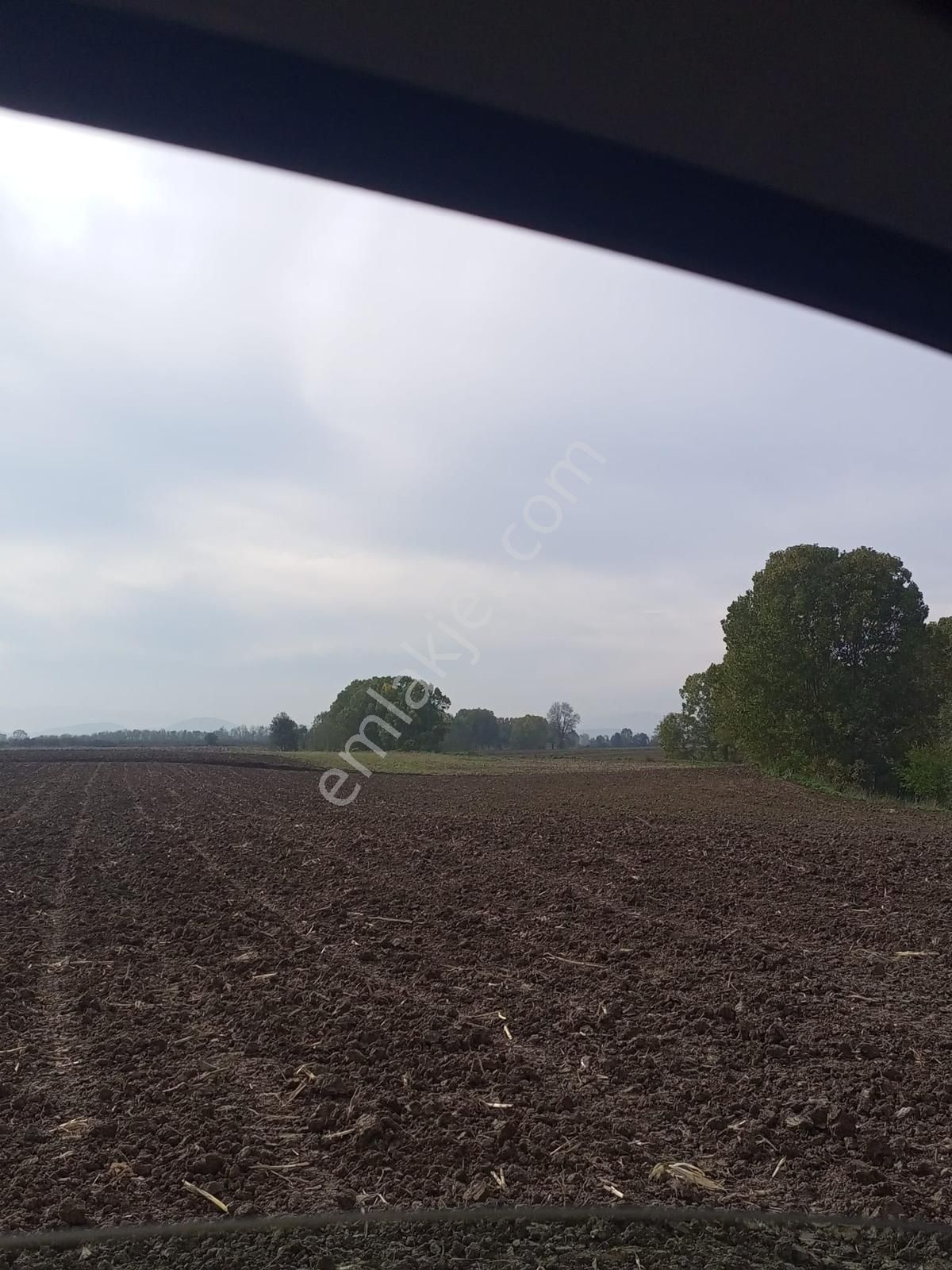 Sakarya/ferizli'de 5440m² Dere Kenarı Verimli Yatırımlık Kaçmaz! - Görsel 8