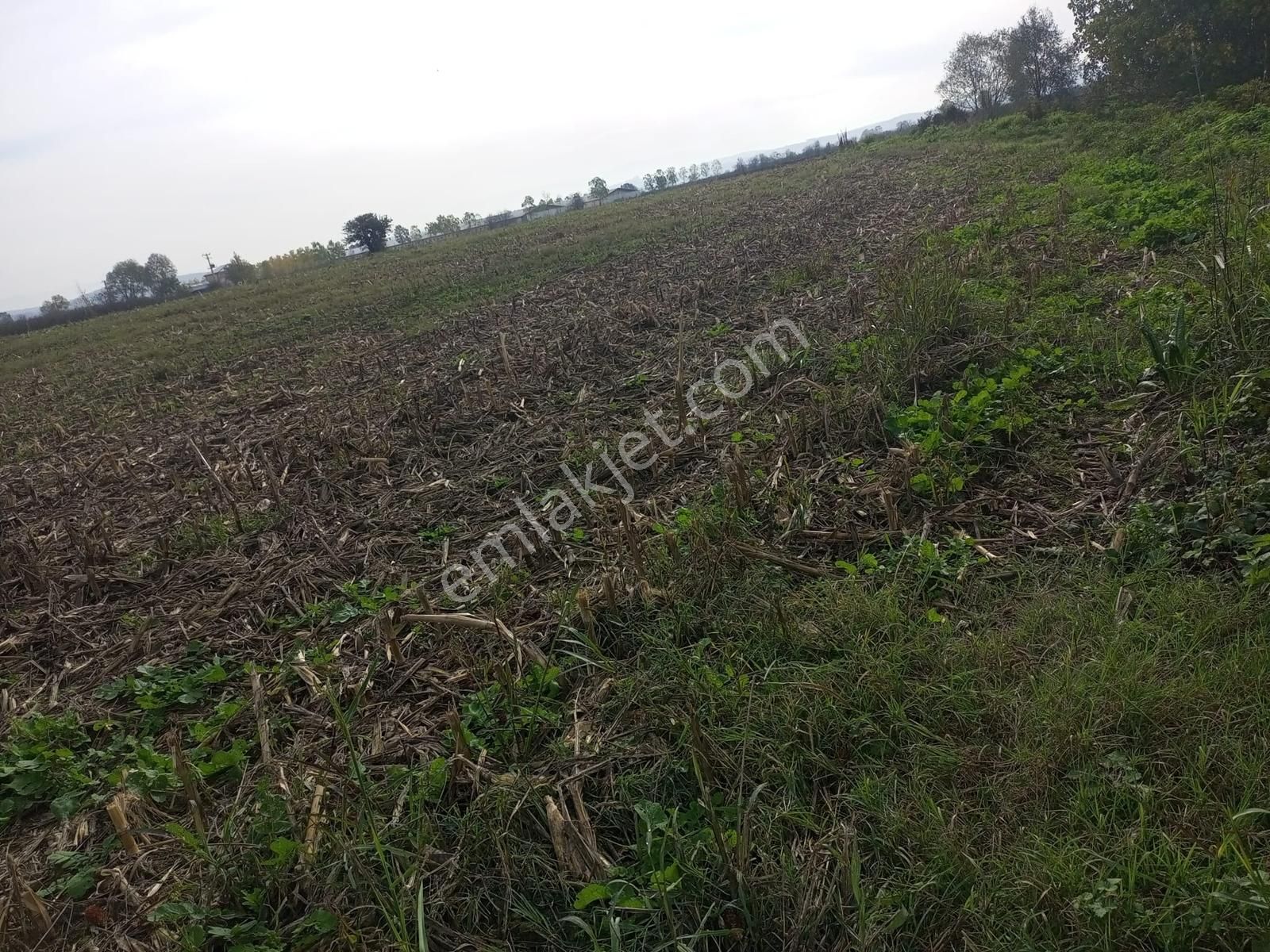 Sakarya/ferizli'de 5440m² Dere Kenarı Verimli Yatırımlık Kaçmaz! - Görsel 16