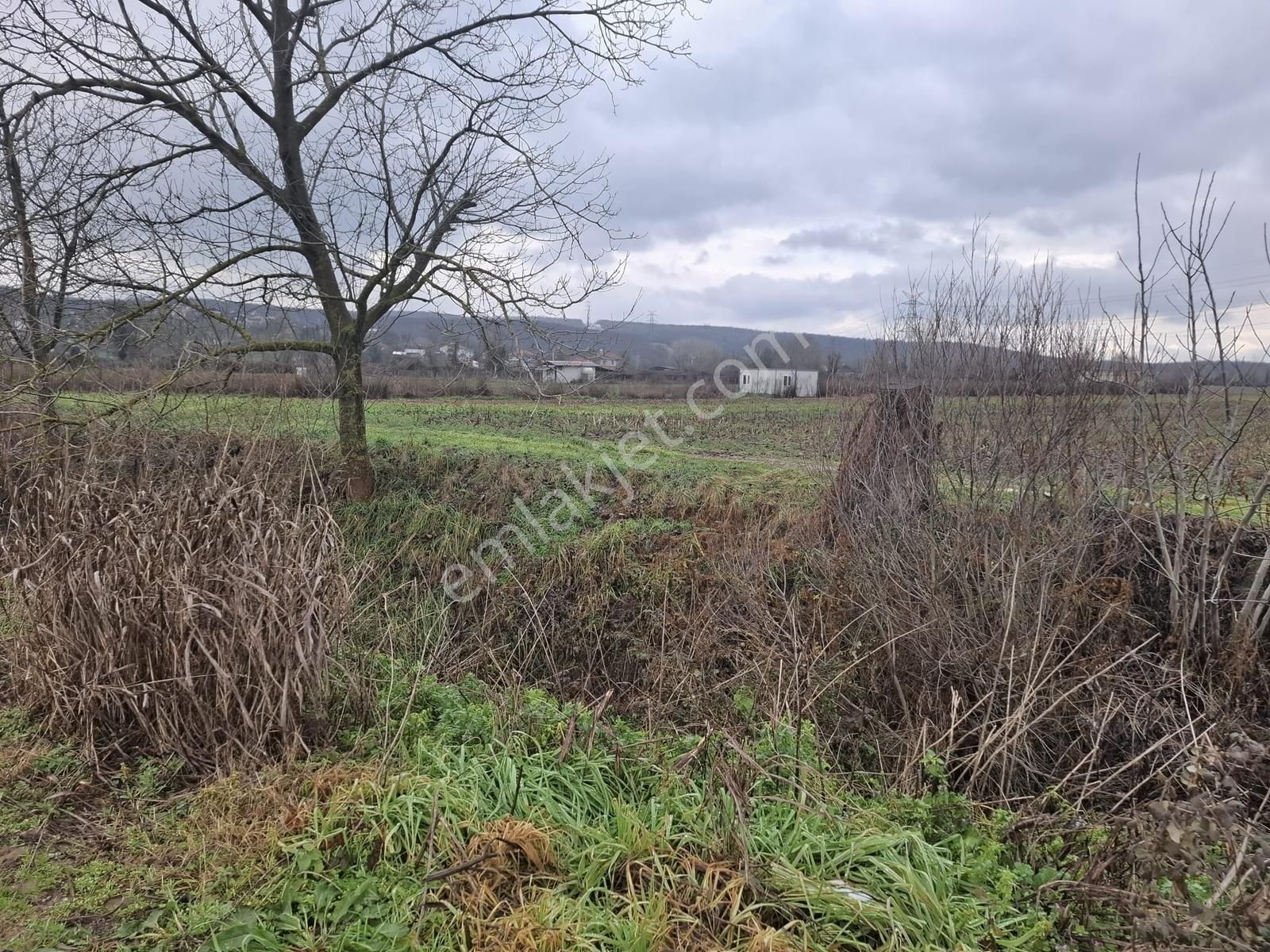 Poyrazlar Da Stratejik Konumlu 14.933 M2 Satılık Tarla - Görsel 10