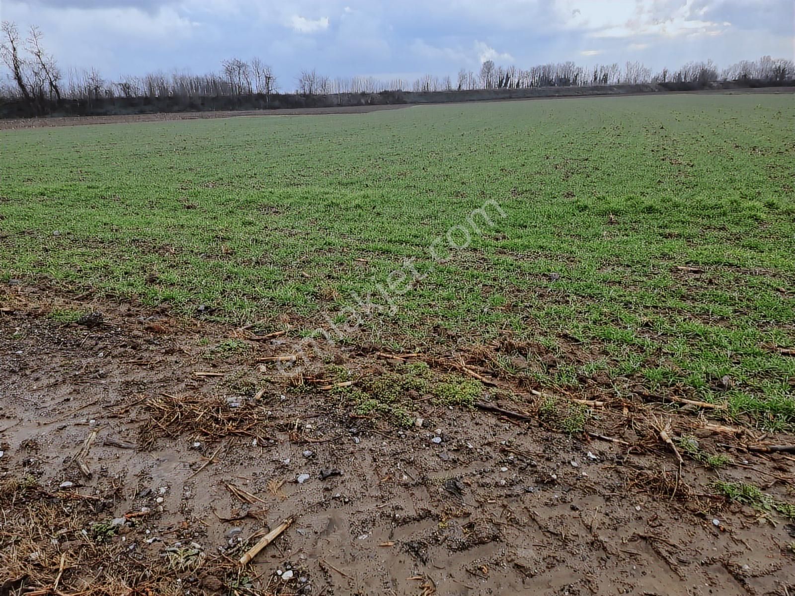 Poyrazlar Da Stratejik Konumlu 14.933 M2 Satılık Tarla - Görsel 3