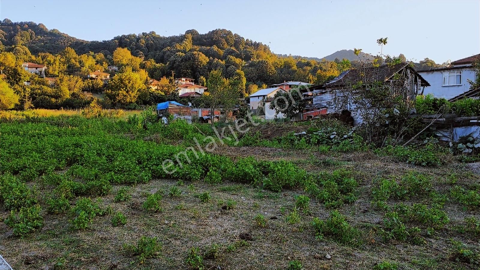 Kemaliyede Asfalt Yol Kenarında Konut İmarlı Arsalar Son 1 Adet - Görsel 3