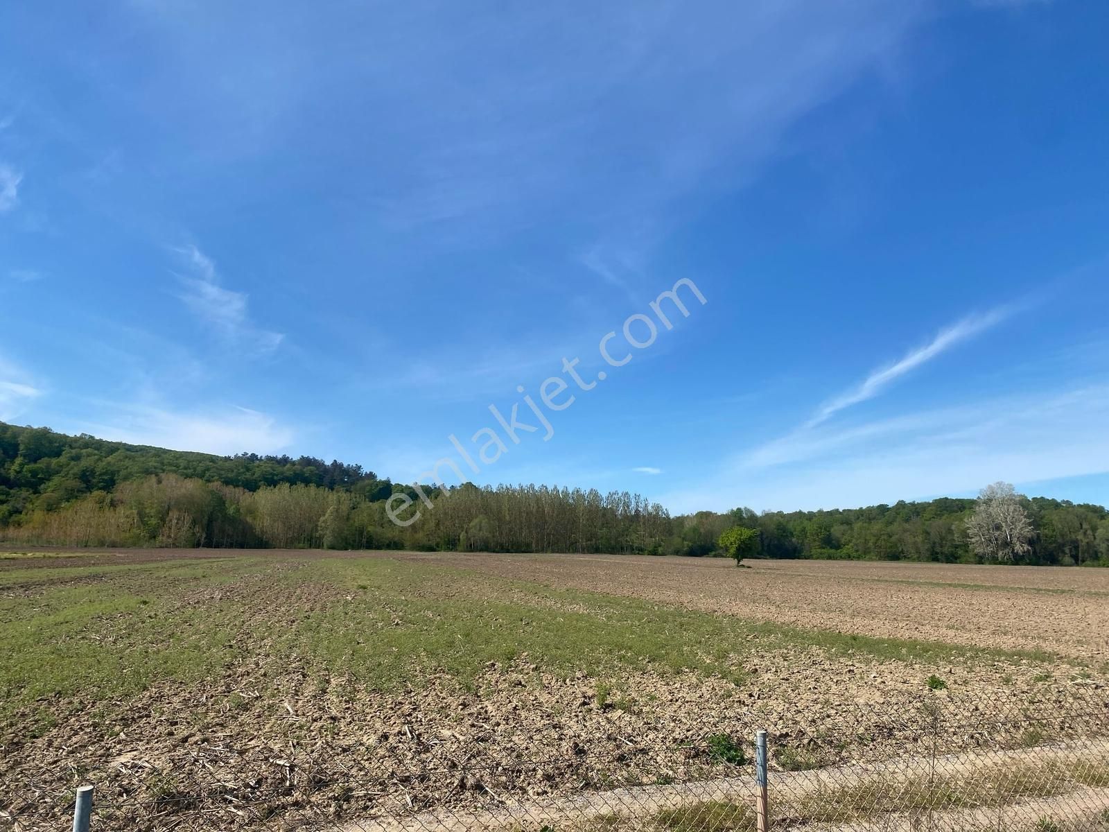 Sakarya Adapazarı - Karasu Yolu Üzerinde Değerlenecek Tarla - Görsel 13