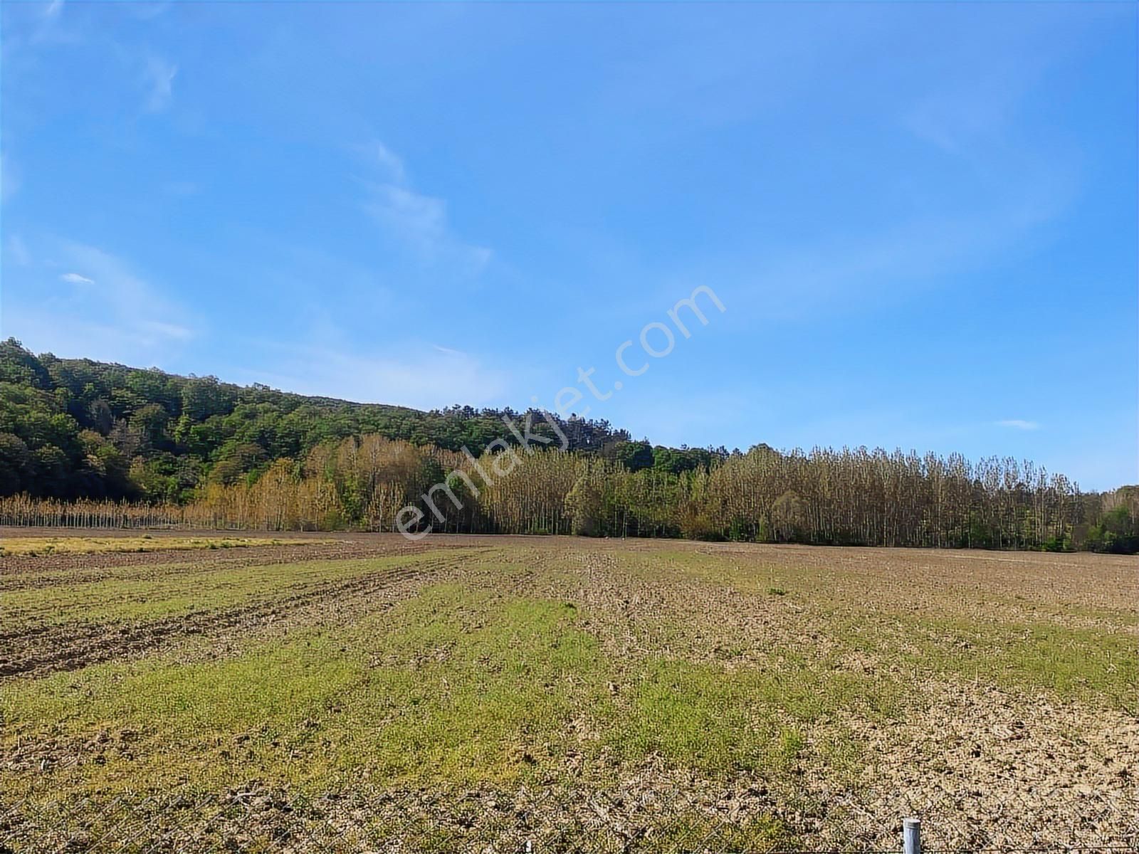 Sakarya Adapazarı - Karasu Yolu Üzerinde Değerlenecek Tarla - Görsel 4