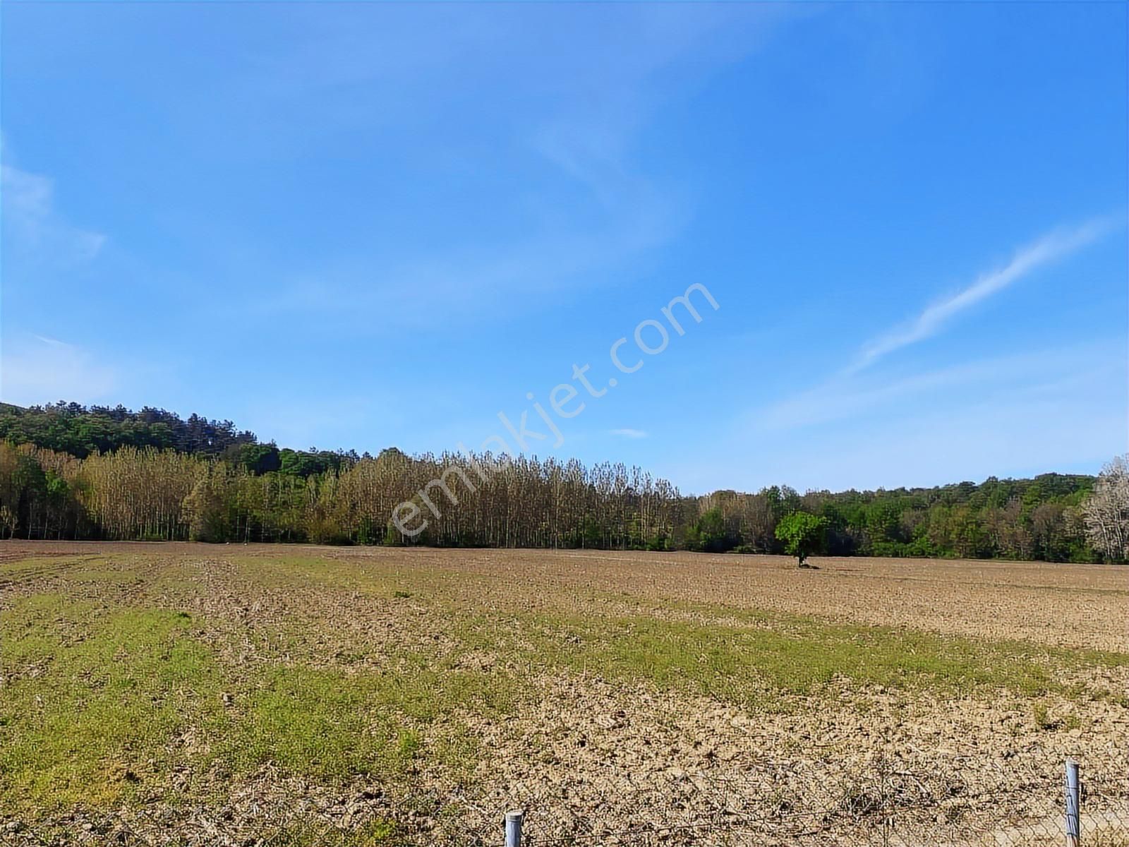 Sakarya Adapazarı - Karasu Yolu Üzerinde Değerlenecek Tarla - Görsel 5