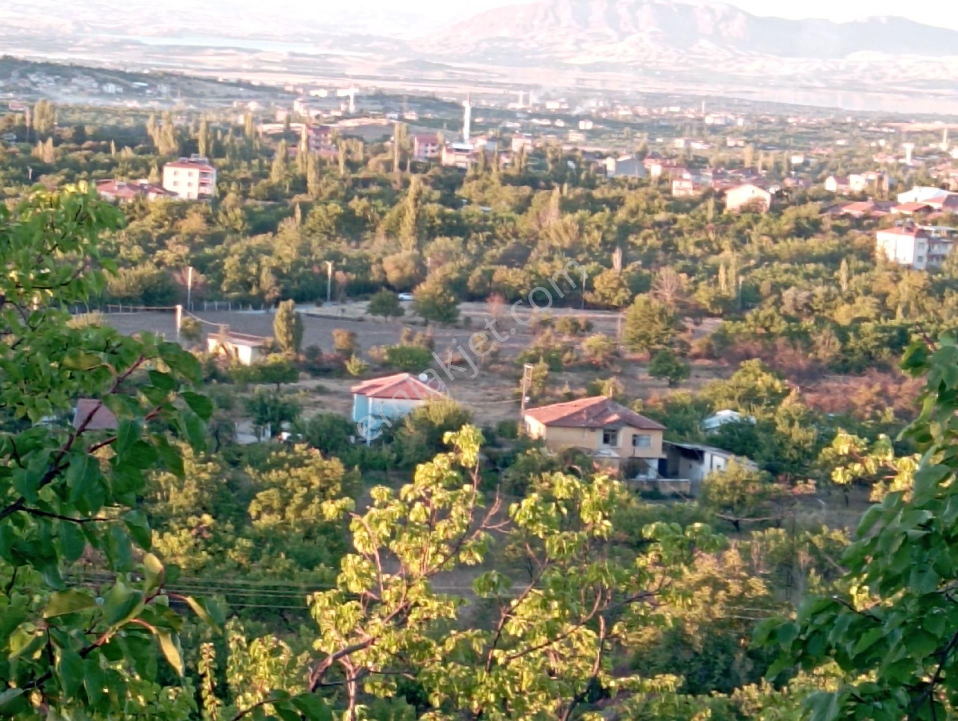 Satılık Arsa (bahçe) - Görsel 8