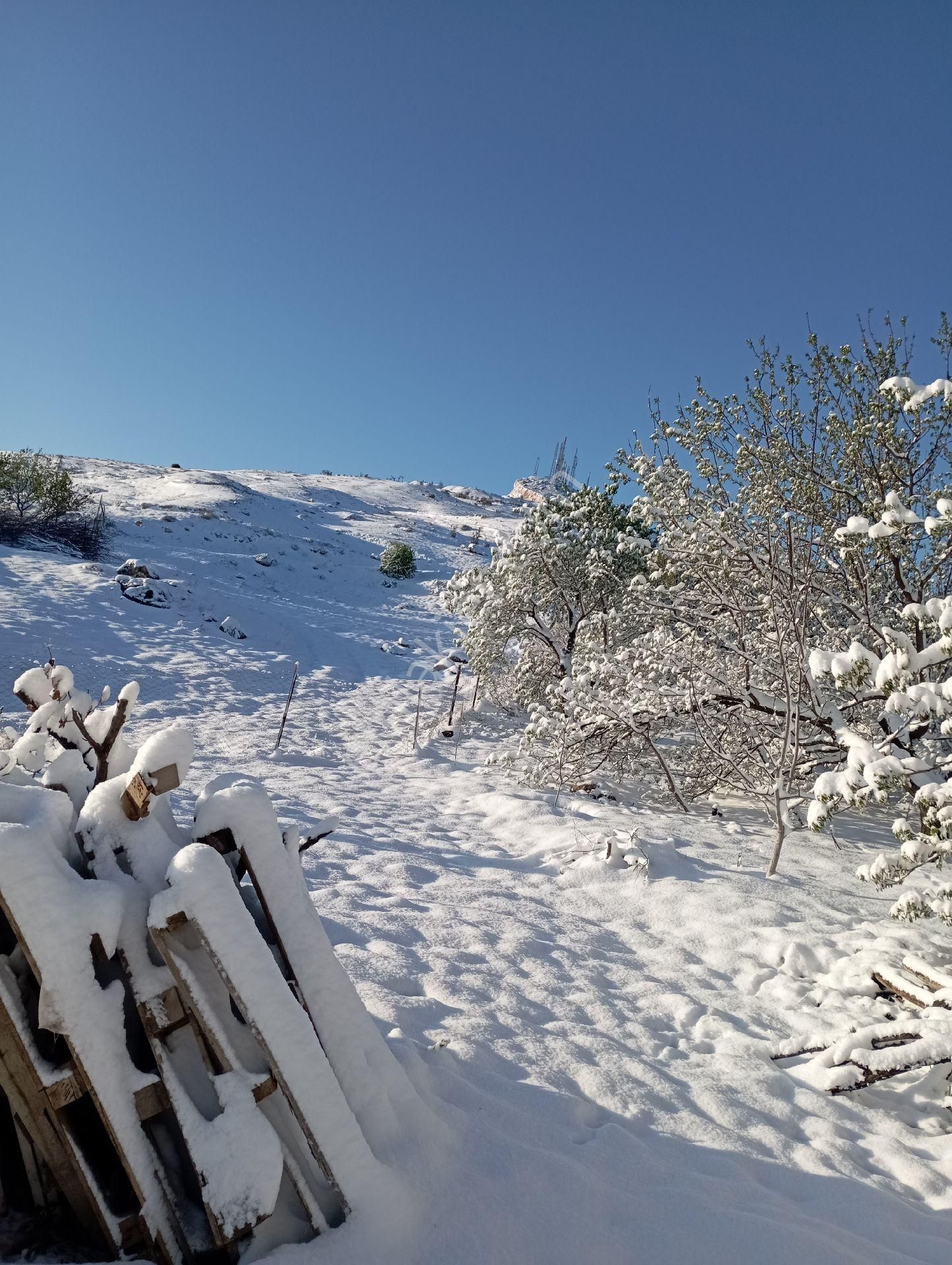 Satılık Arsa (bahçe) - Görsel 12