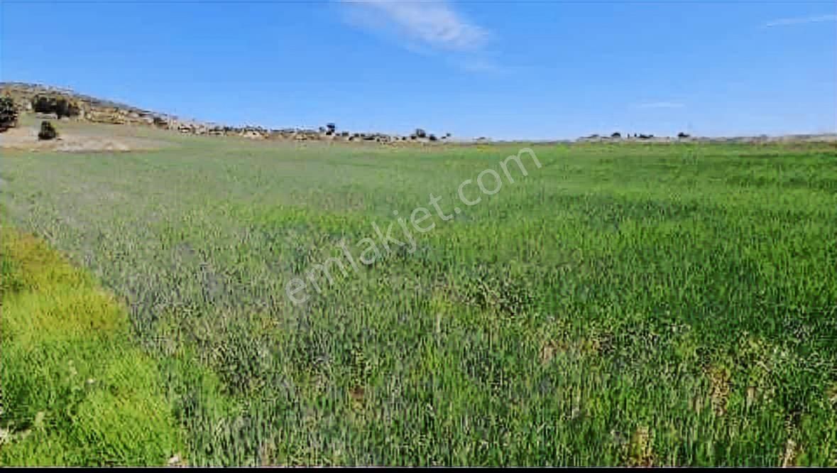 Afyonkarahisar'da Bölgedeki En Uygun Fiyata 1315 M2 Satılık Arsa - Görsel 2