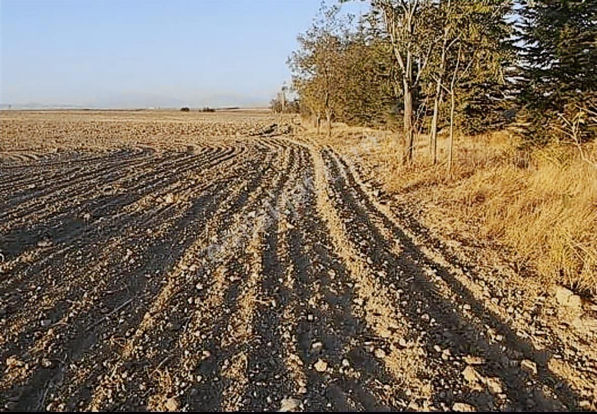 Afyonkarahisar'da Bölgedeki En Uygun Fiyata 1315 M2 Satılık Arsa