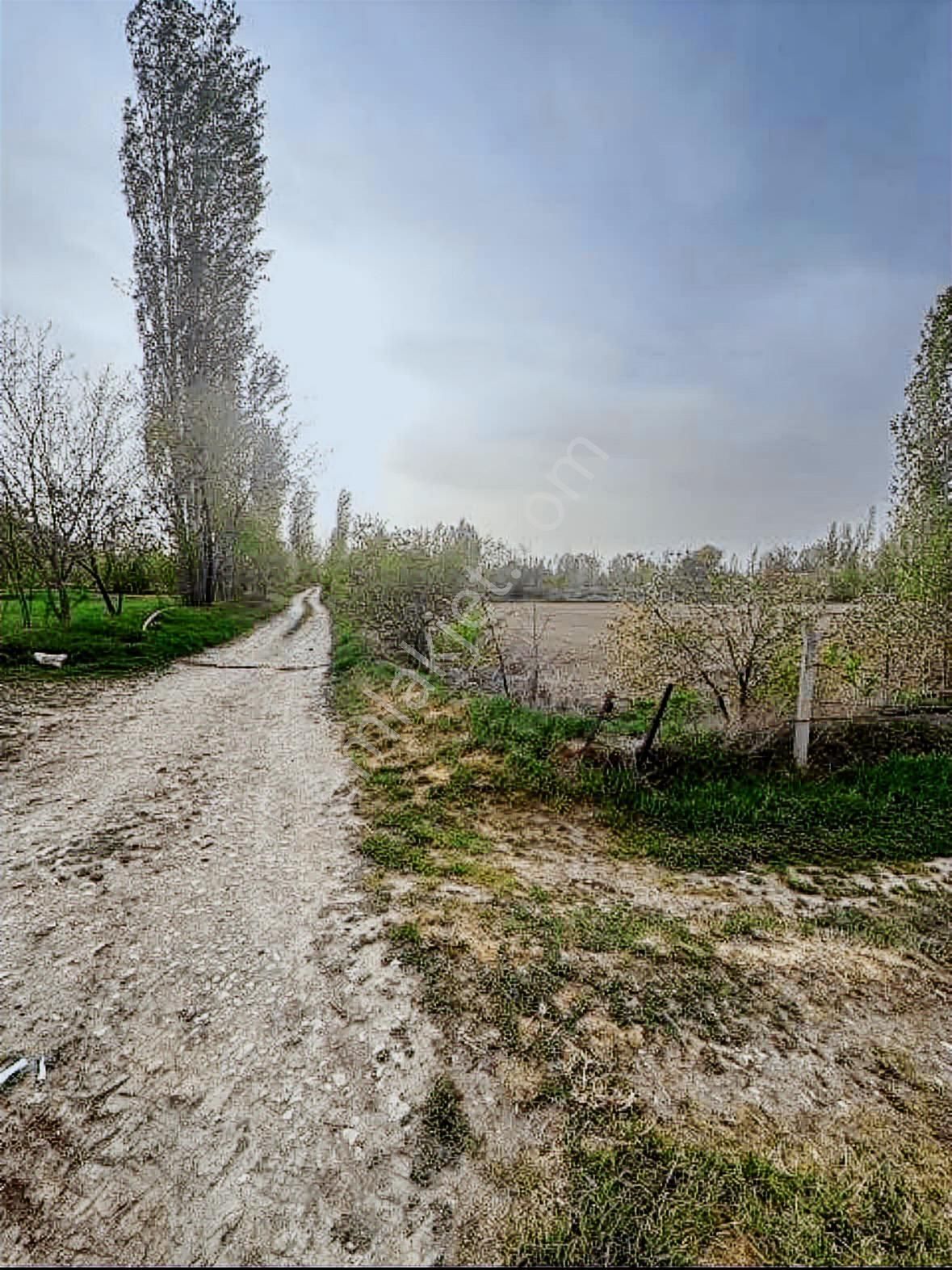 Afyonkarahisar'da Bölgedeki En Uygun Fiyata 1315 M2 Satılık Arsa - Görsel 5