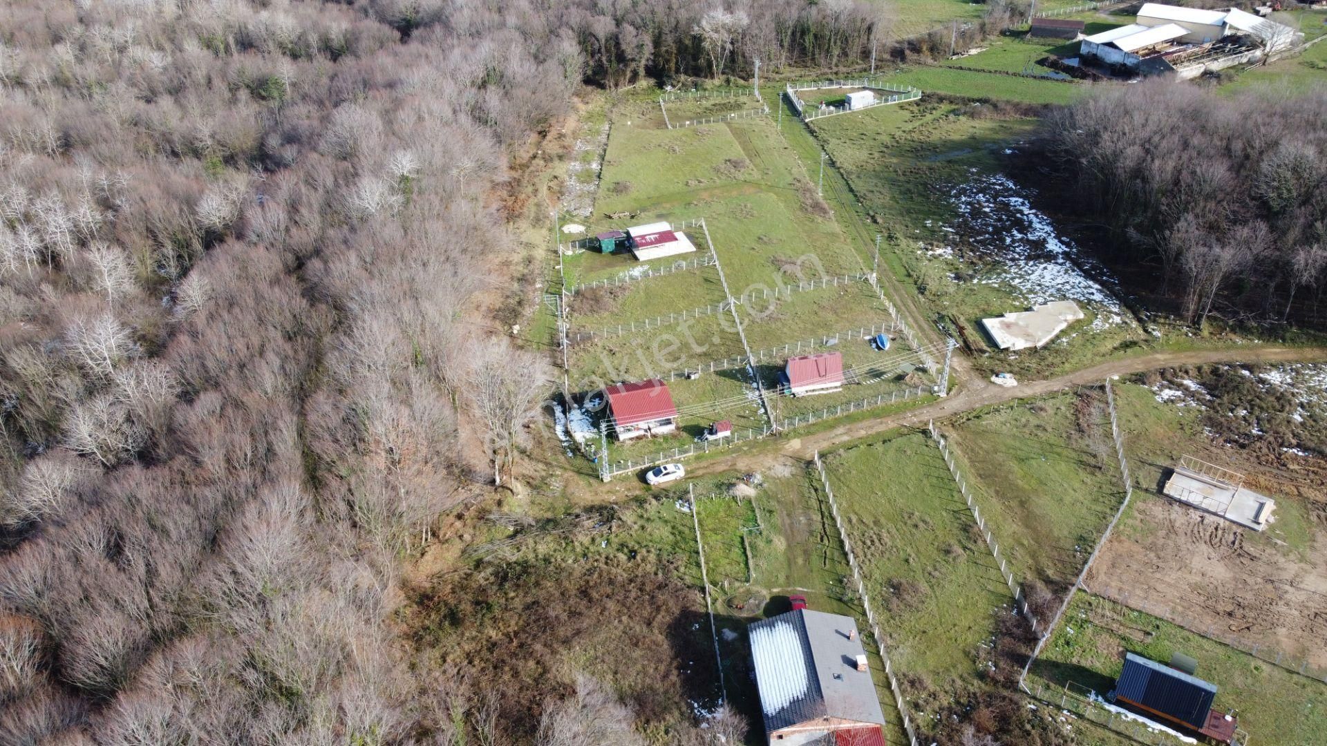 Çobanlar Köyü 410 M2 Bağ Evi Ve Arsası - Görsel 11