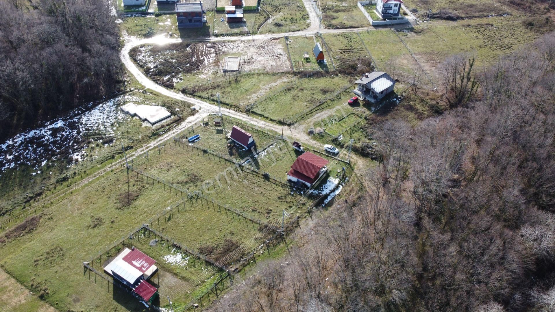 Çobanlar Köyü 410 M2 Bağ Evi Ve Arsası - Görsel 5