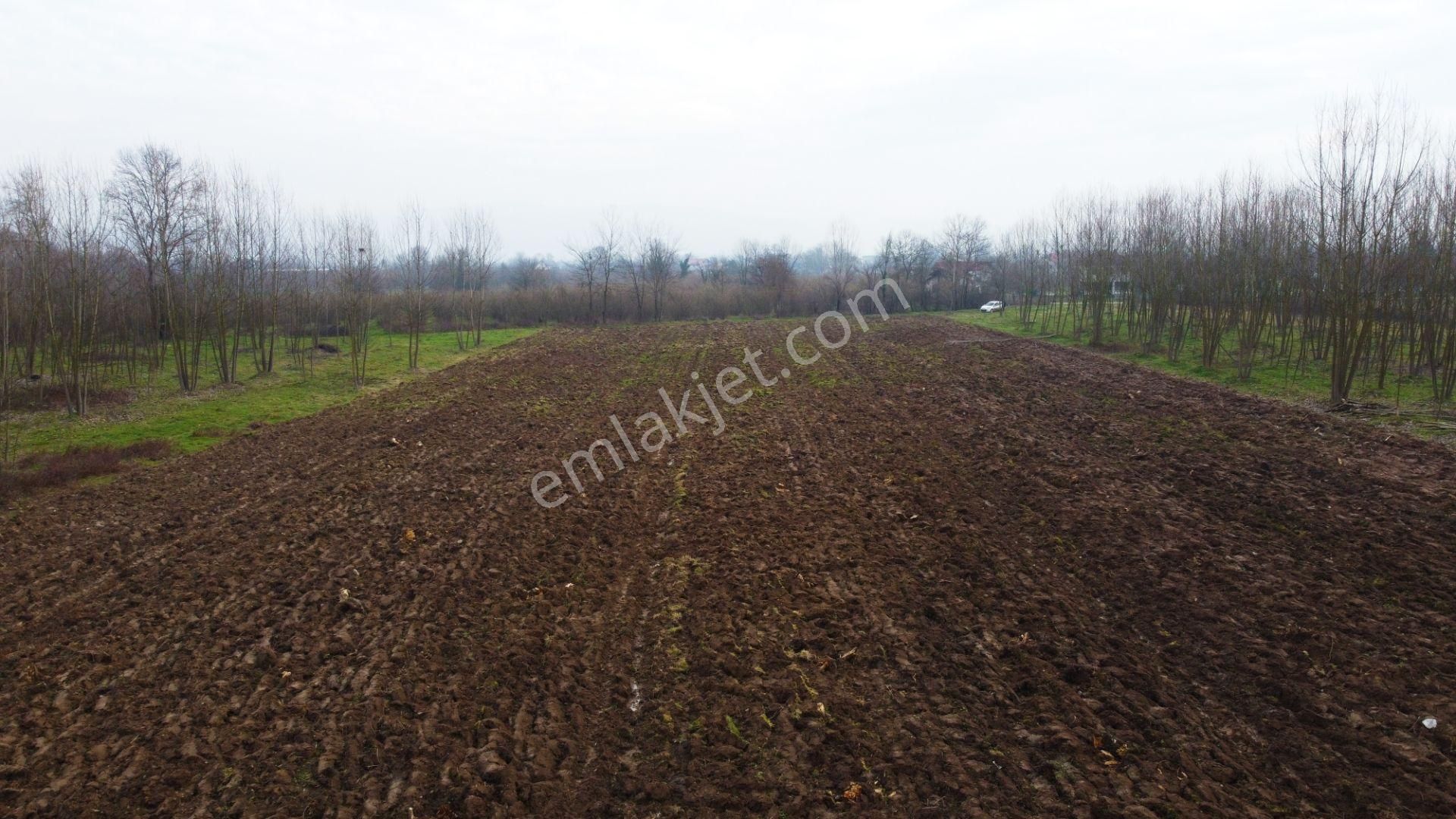 Hacıaliler Köyü'nde İmara Sınır Yatırımlık 7.047 Kupon Tarla !!! - Görsel 8