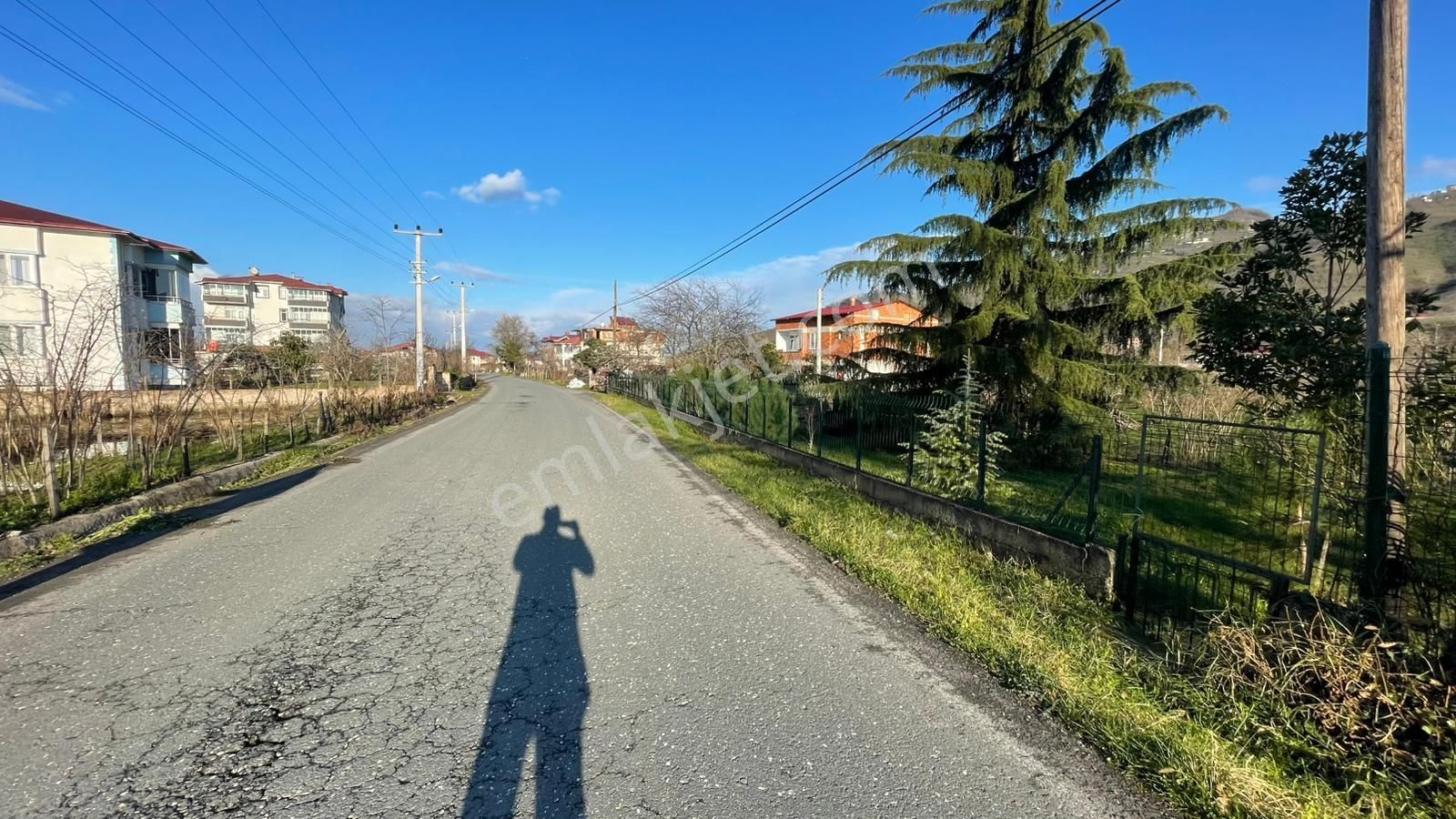 Perşembe Efirli Satılık 2289 M2 Fındık Bahçesi