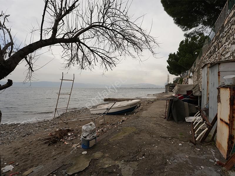 Kordona Cephe Denize Direkt Tüp Geçitli Studio Daire - Görsel 11