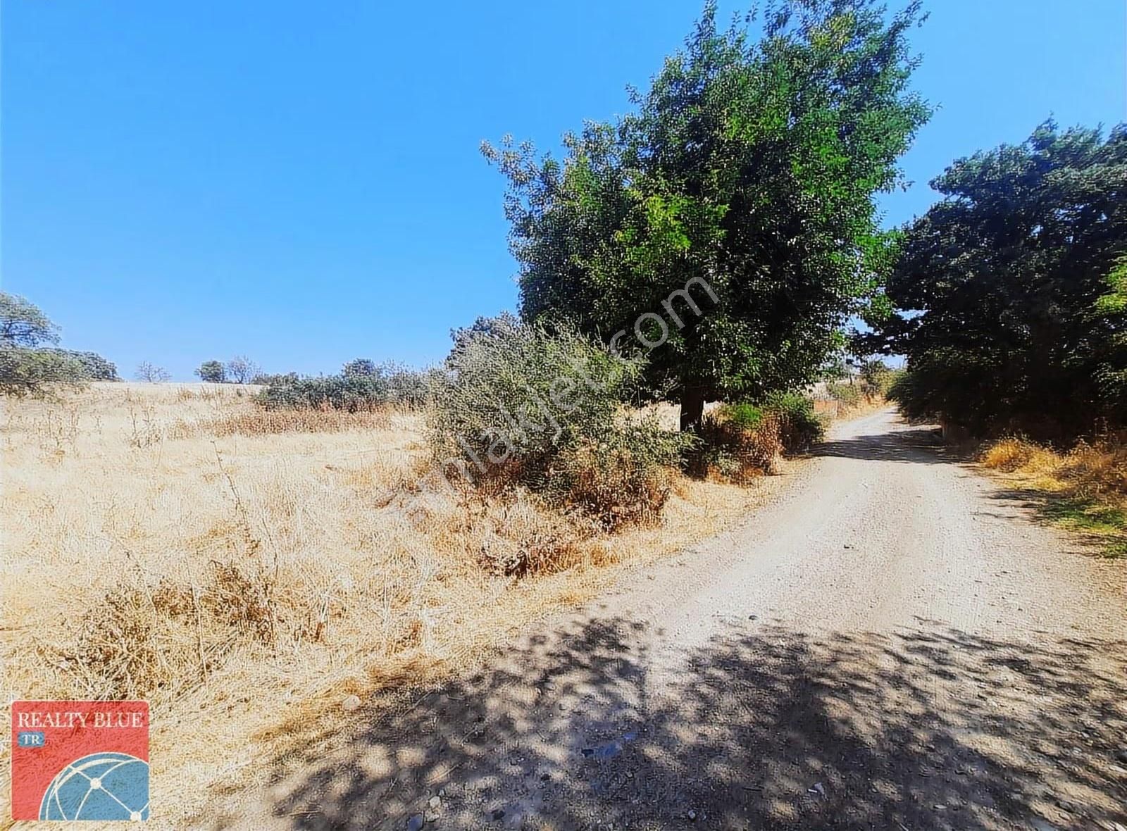 Bayramiç Zeytinli Köyü 373 M2 %35 Konut İmarlı Satılık Arsa - Görsel 5