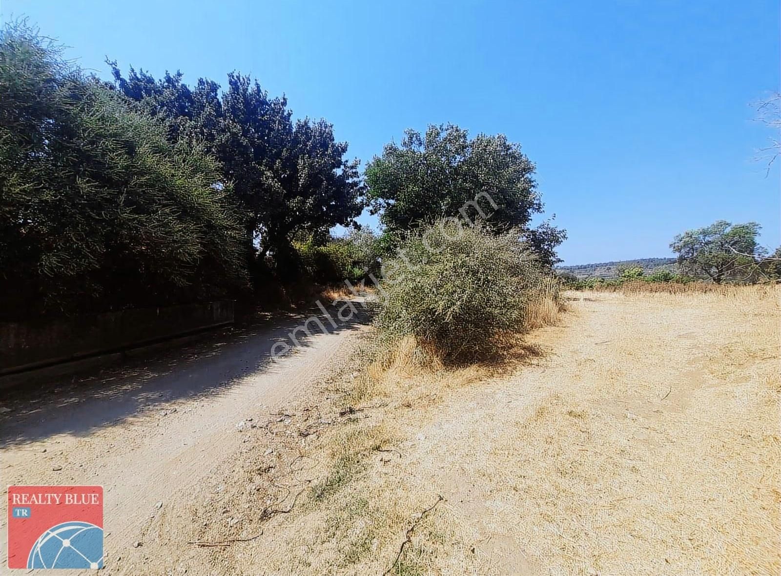 Bayramiç Zeytinli Köyü 373 M2 %35 Konut İmarlı Satılık Arsa - Görsel 6