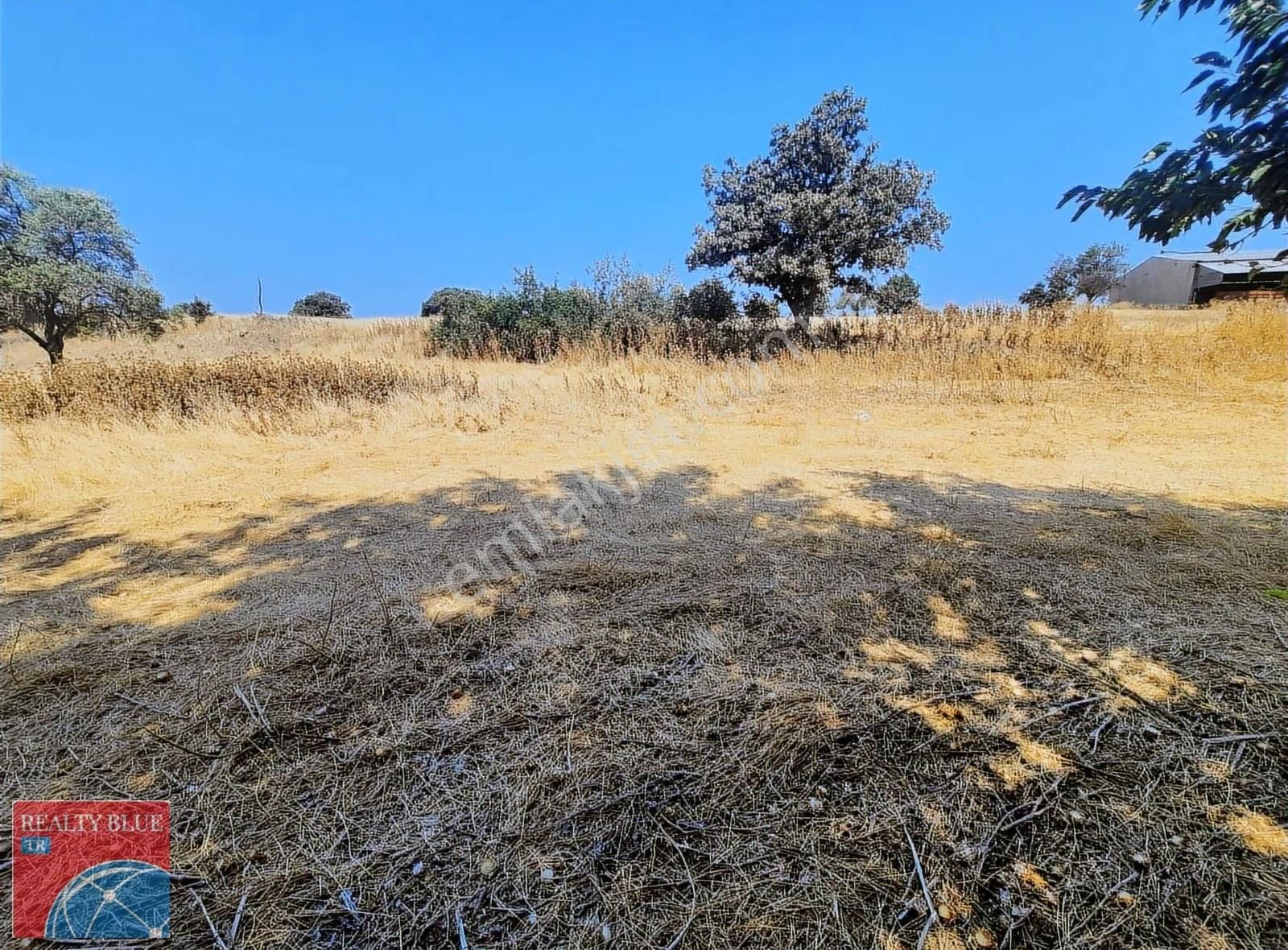 Bayramiç Zeytinli Köyü 373 M2 %35 Konut İmarlı Satılık Arsa - Görsel 4