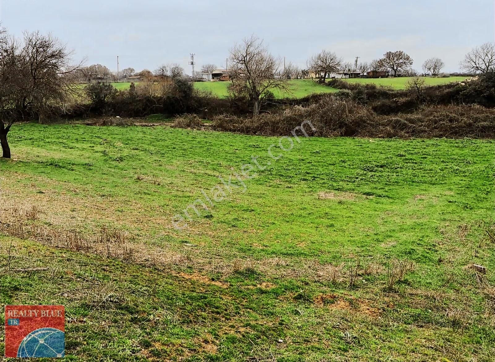 Bayramiç Zeytinli Köyü 373 M2 %35 Konut İmarlı Satılık Arsa