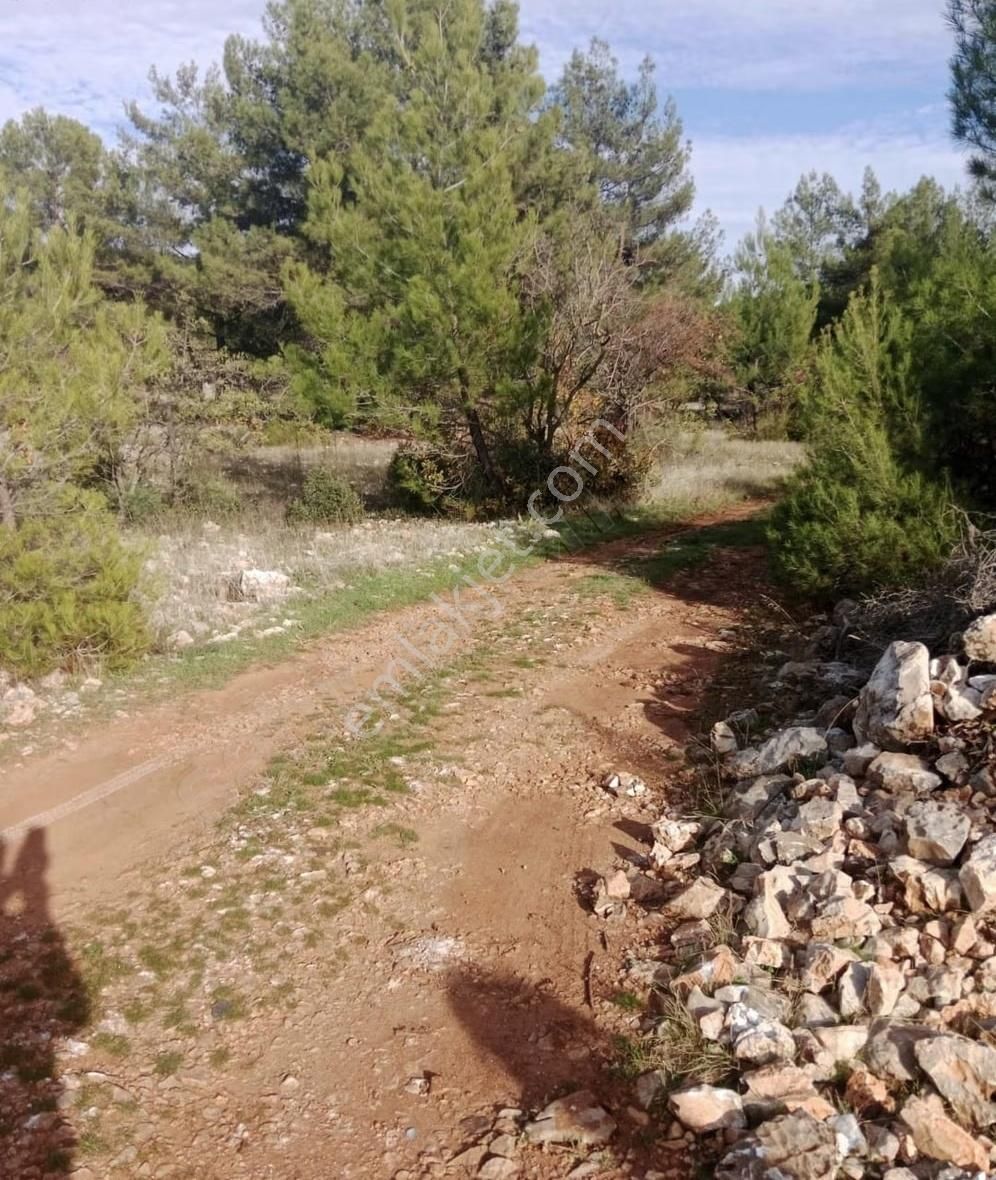 Muğla Menteşe Çiftlik Satılık Tarla Fırsat Fiyatlı - Görsel 4
