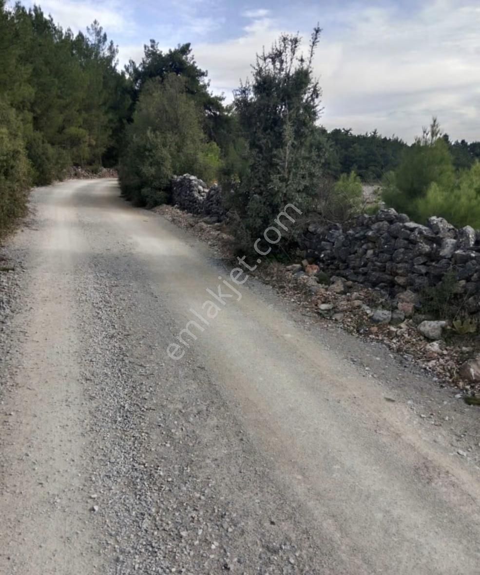 Muğla Menteşe Çiftlik Satılık Tarla Fırsat Fiyatlı - Görsel 3