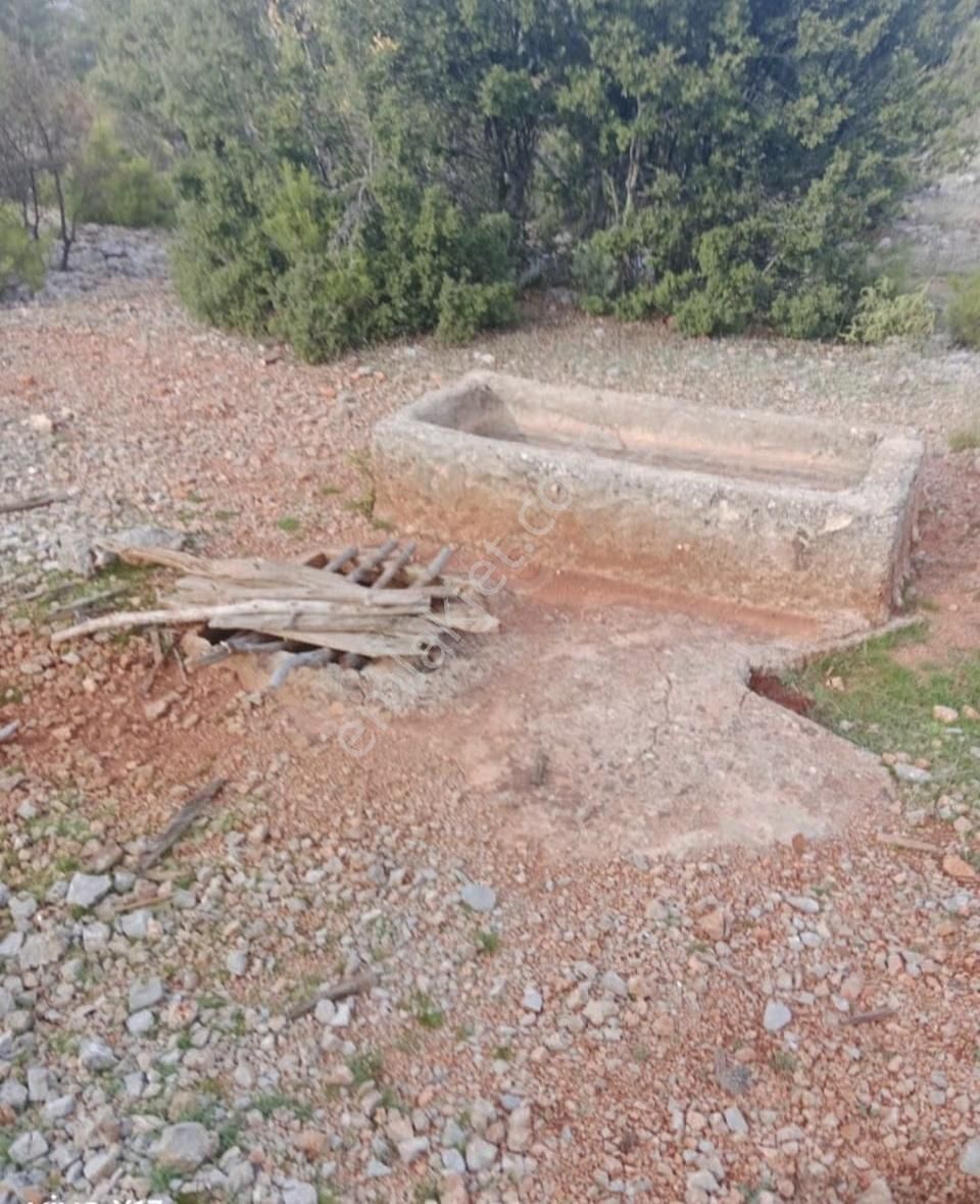 Muğla Menteşe Çiftlik Satılık Tarla Fırsat Fiyatlı - Görsel 5